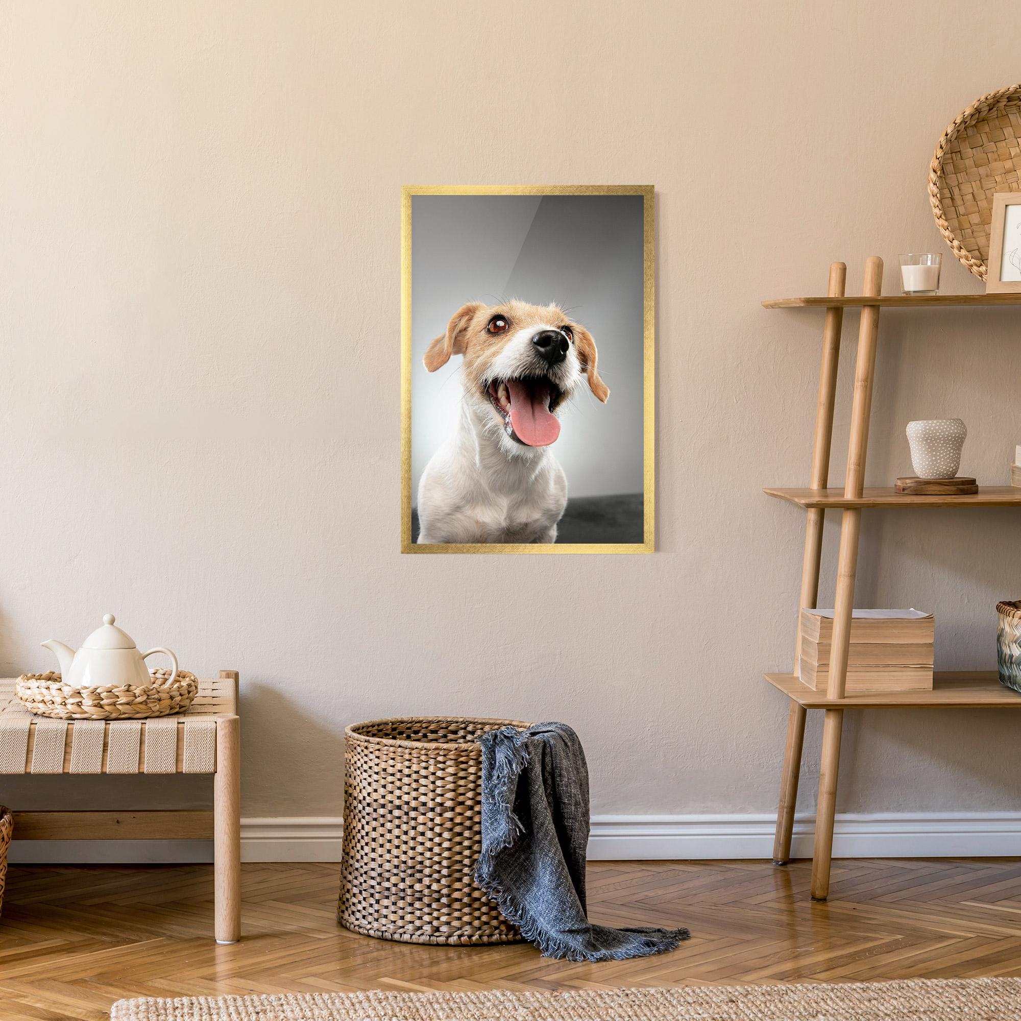 Keretezett Poszter Jack Russell Terrier mockup 9