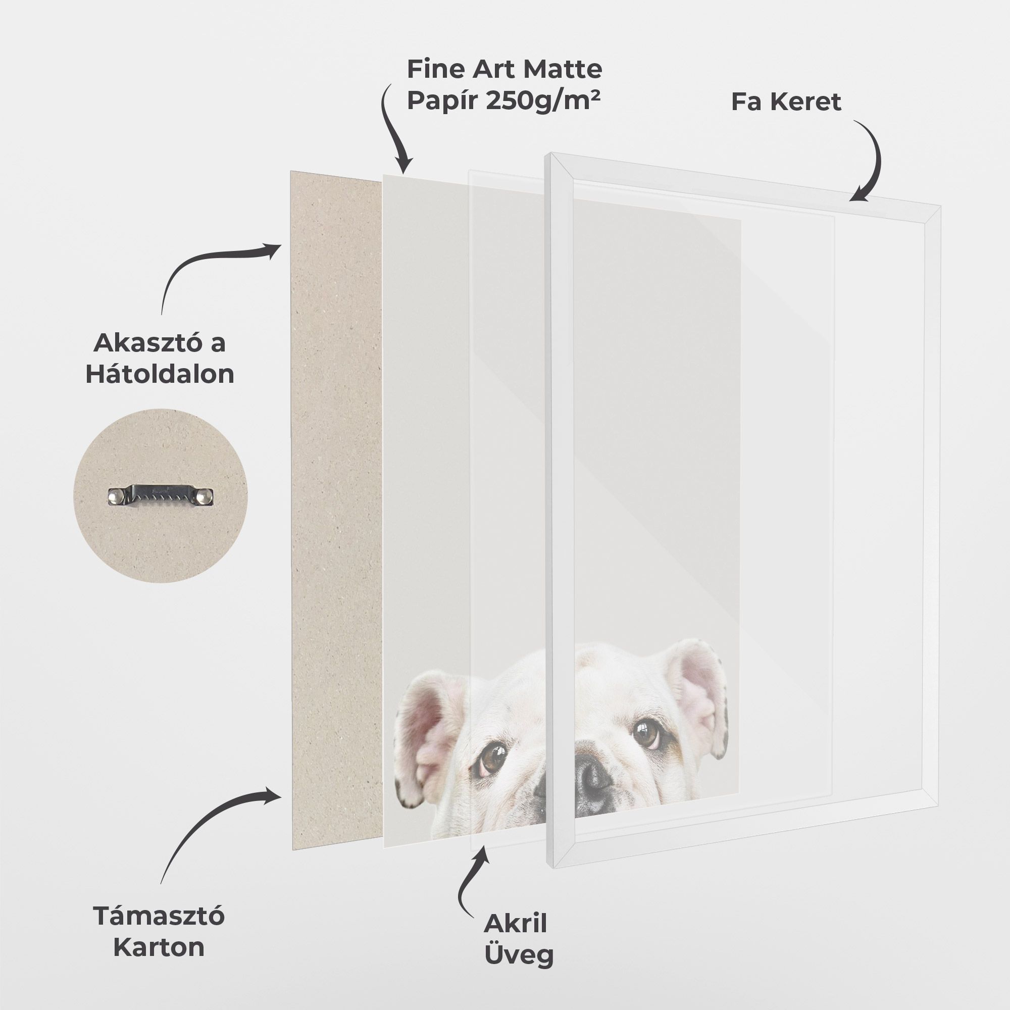 Bulldog Eyes mockup 1