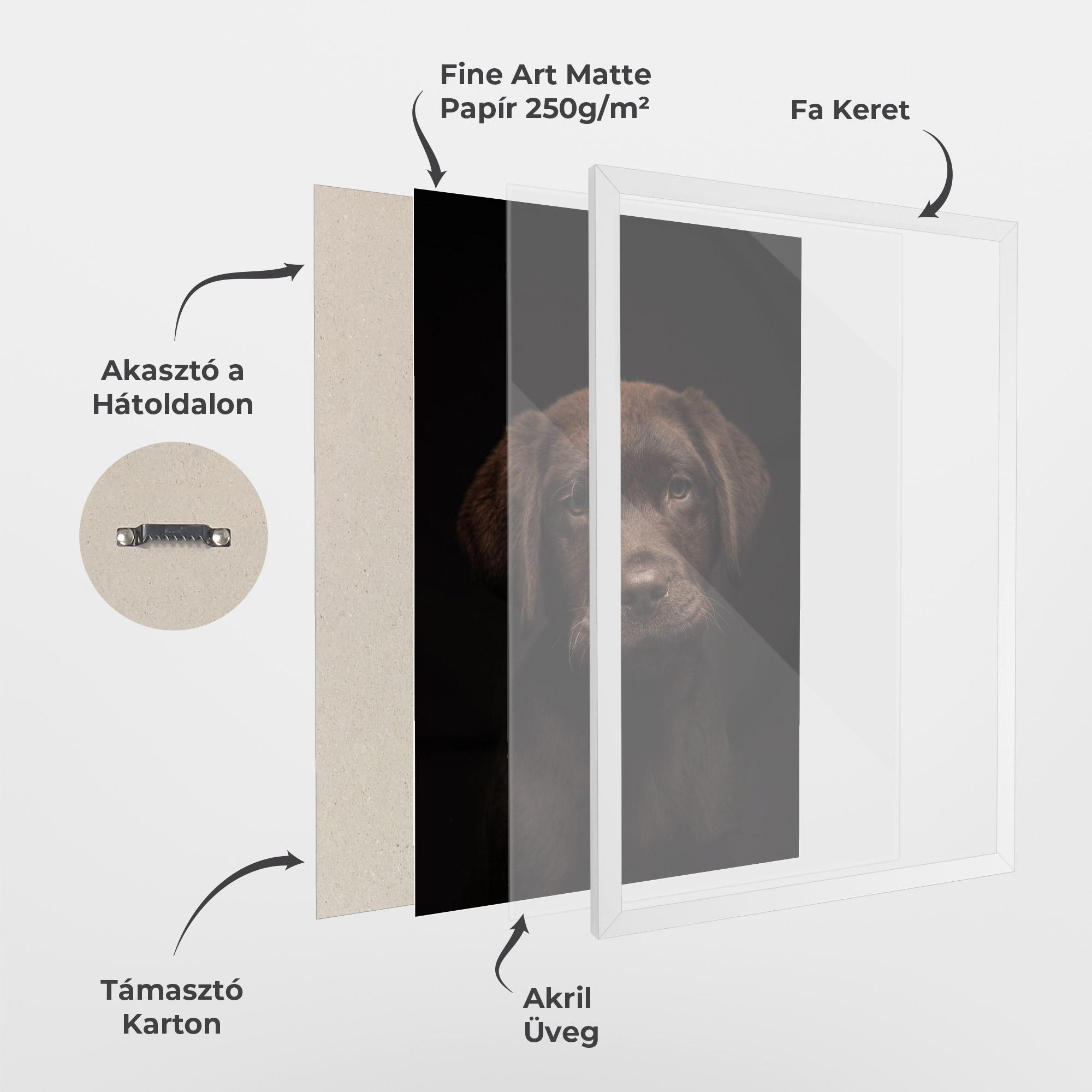 Keretezett Poszter Chocolate Labrador mockup 1