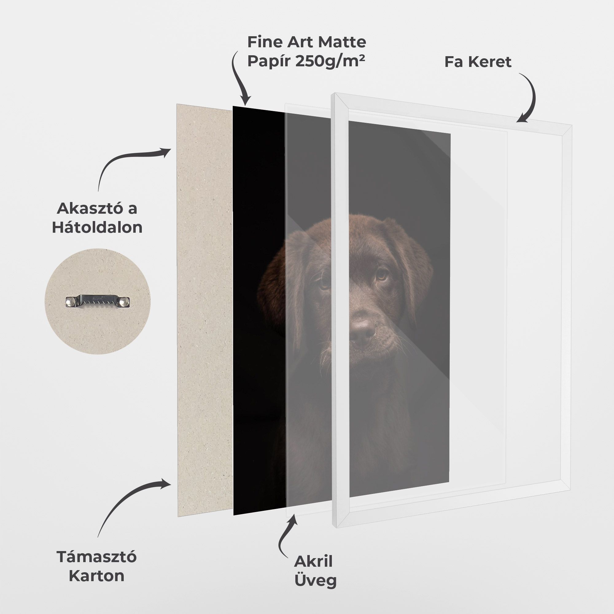 Chocolate Labrador mockup 1