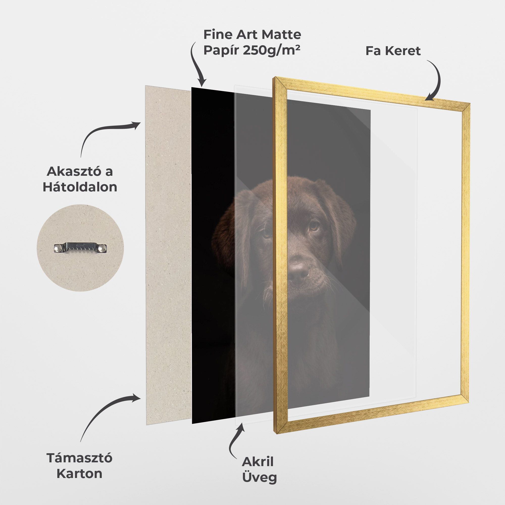 Chocolate Labrador mockup 1