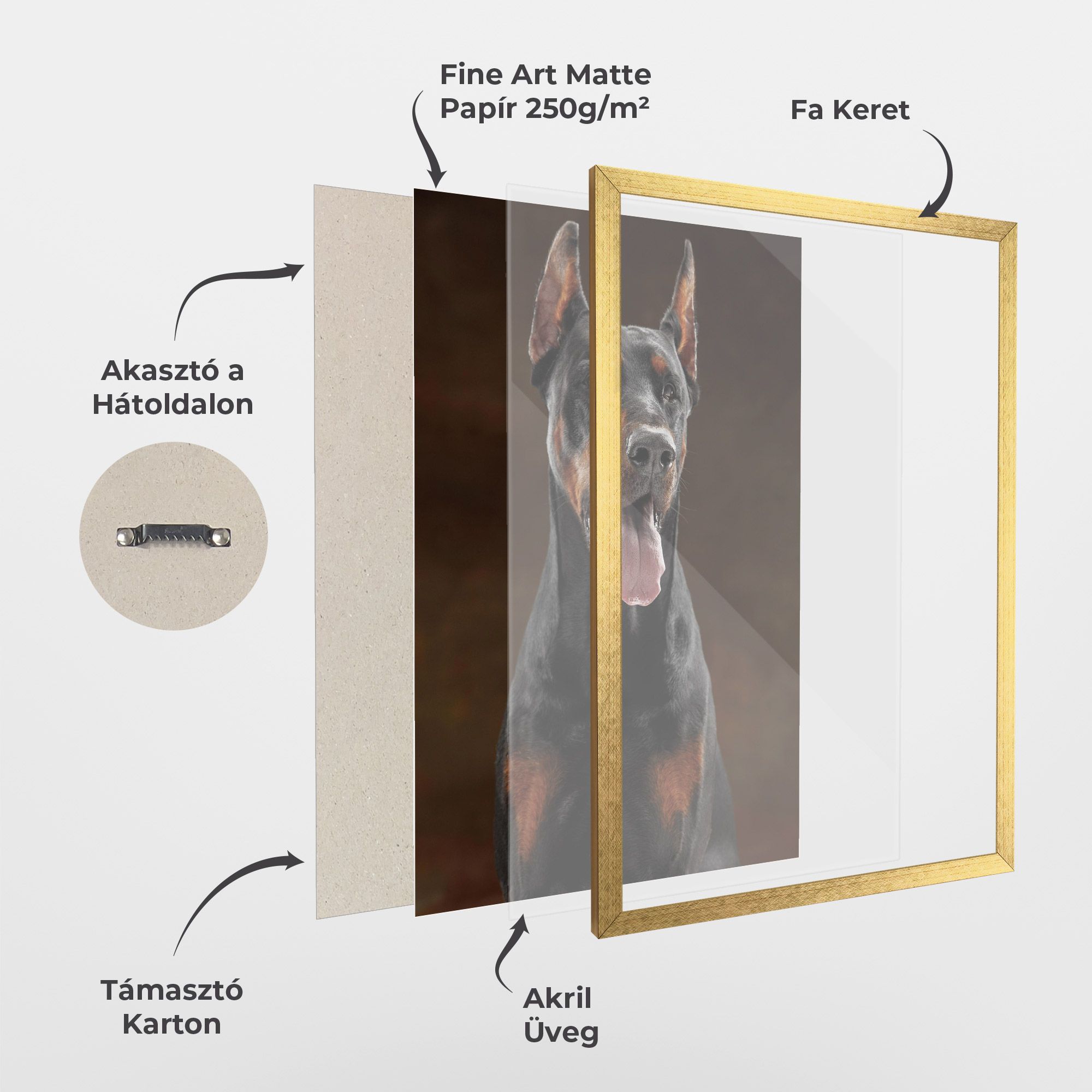 Doberman Looking mockup 1