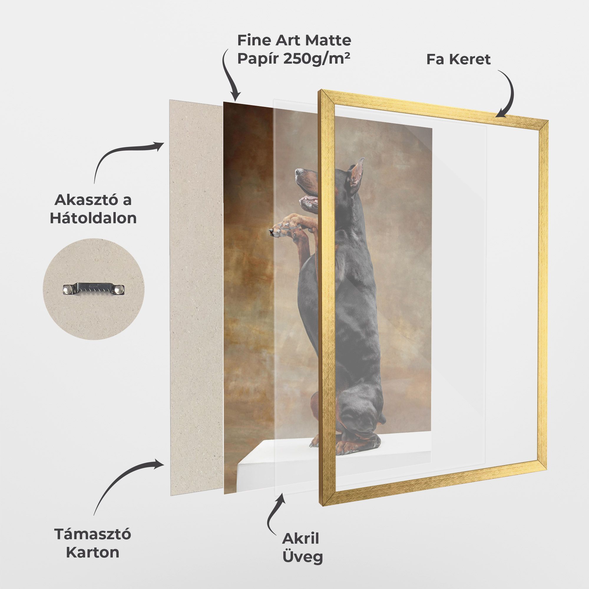 Doberman Standing mockup 1