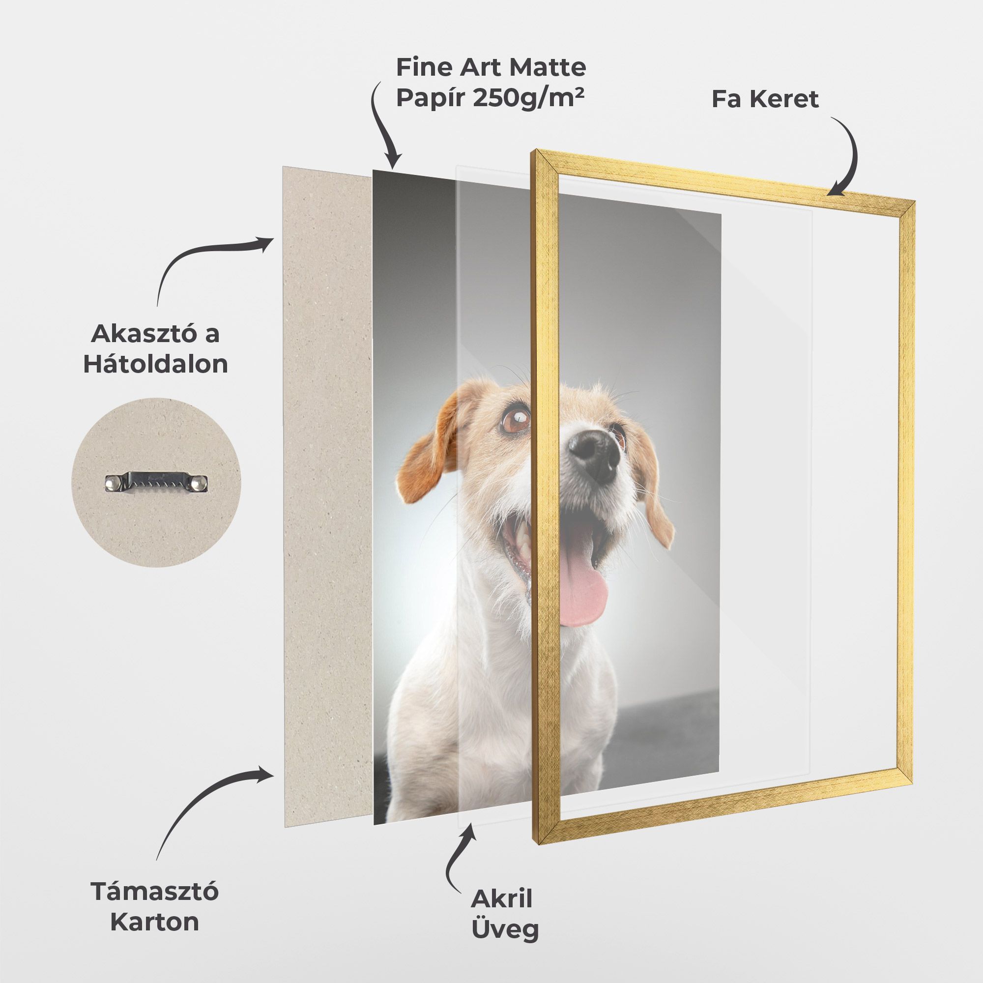 Jack Russell Terrier mockup 1