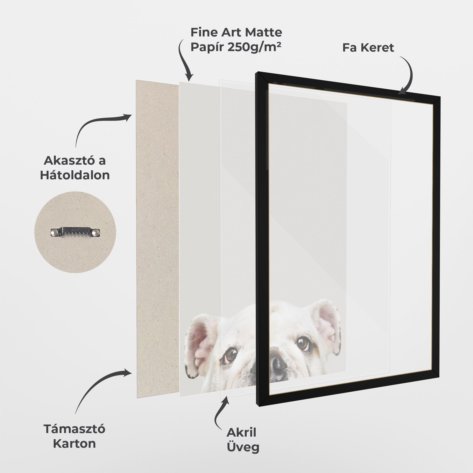 Bulldog Eyes mockup 1