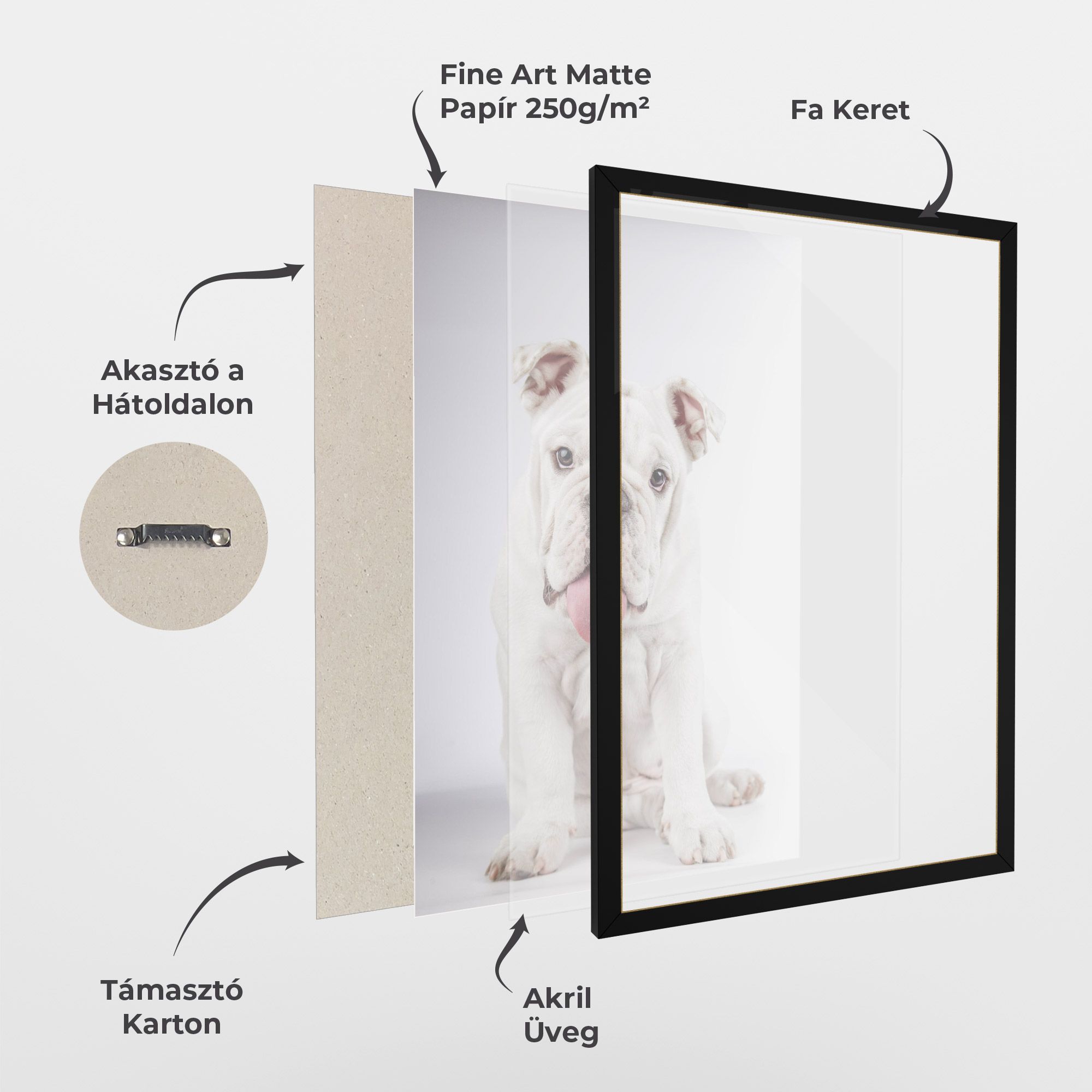 English Bulldog mockup 1