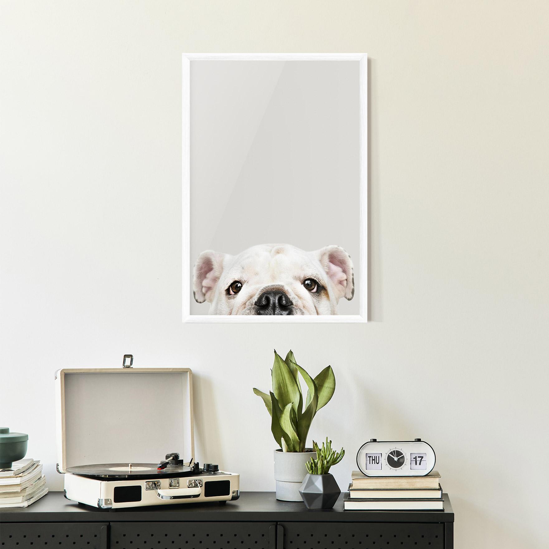 Keretezett Poszter Bulldog Eyes mockup 2