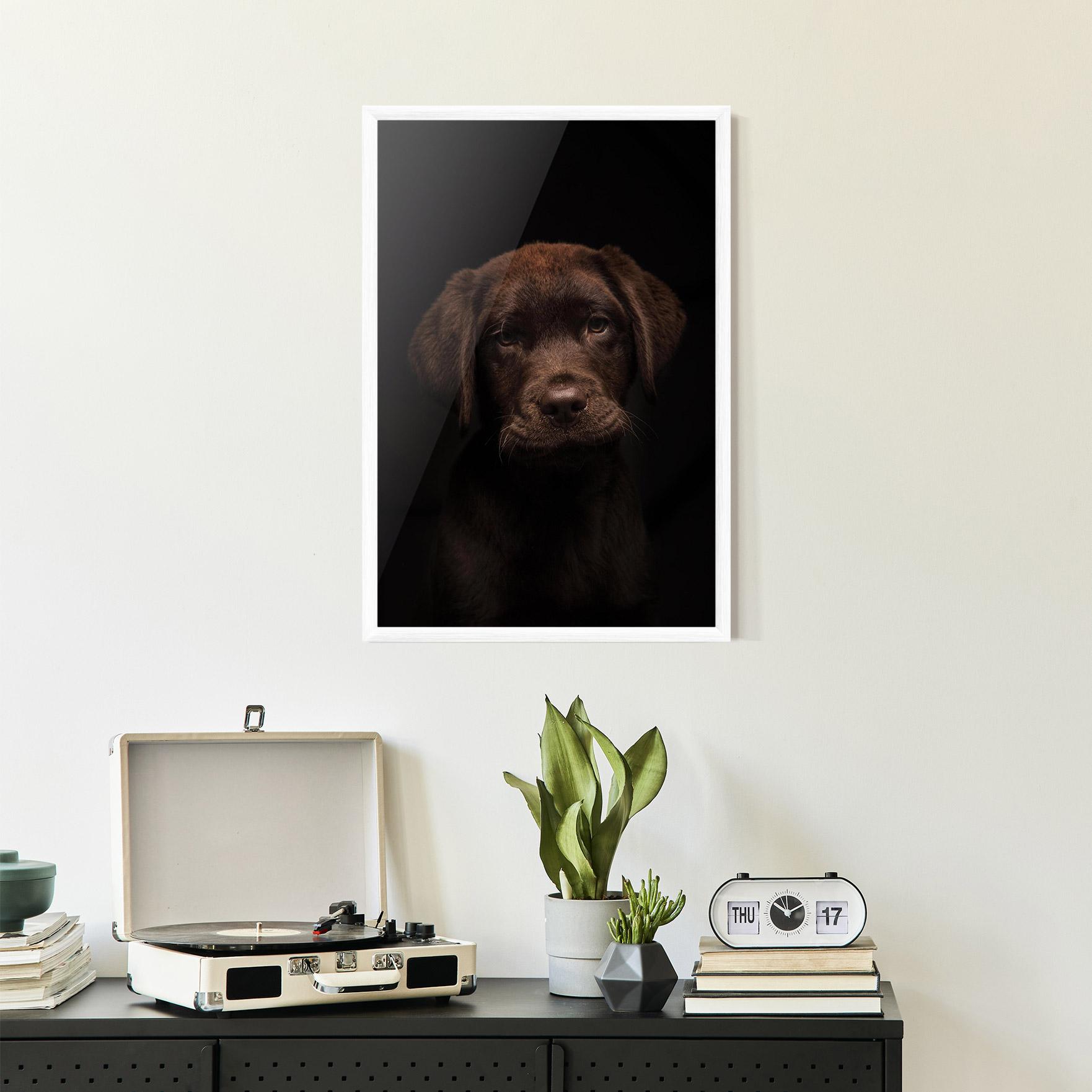Keretezett Poszter Chocolate Labrador mockup 2