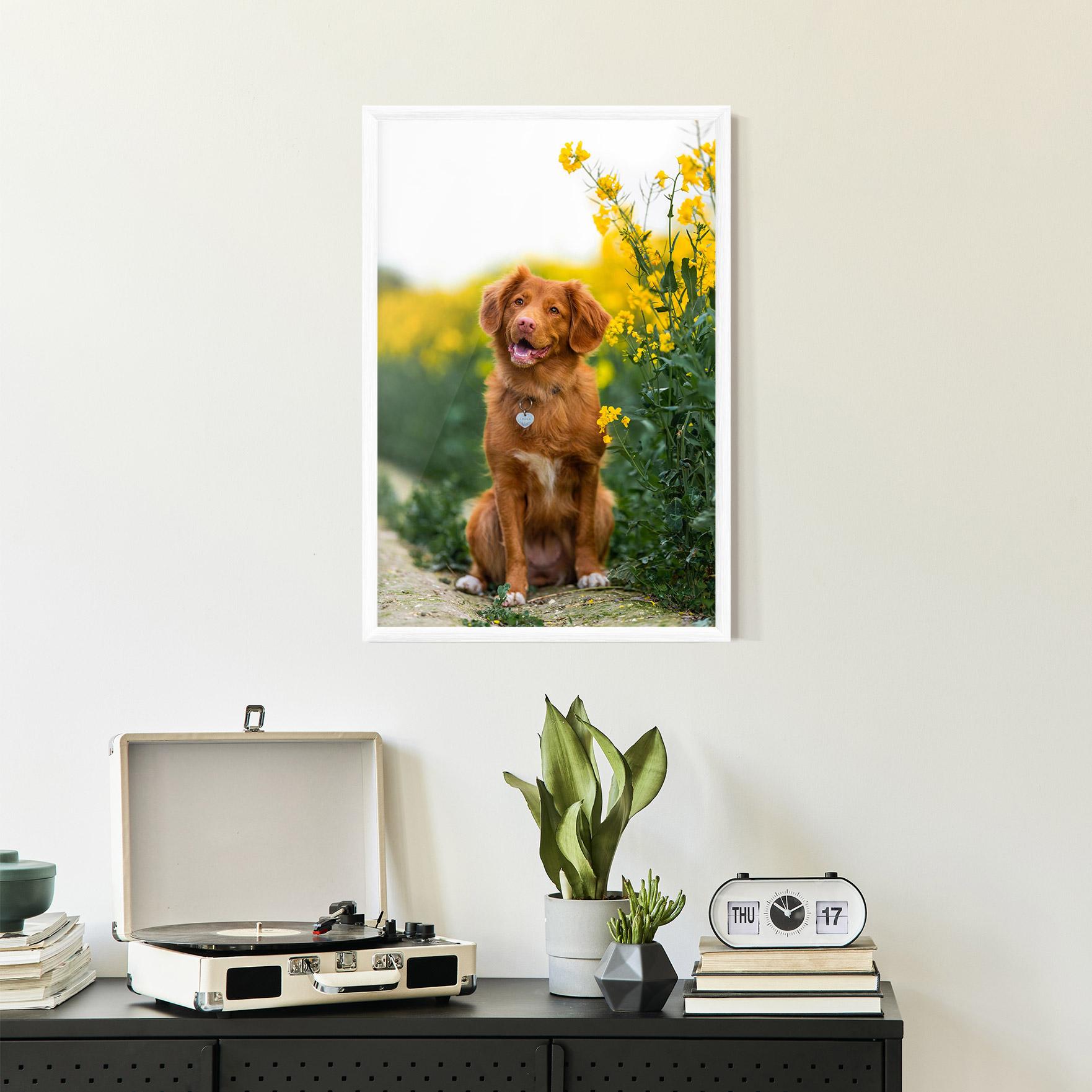 Keretezett Poszter Dog Yellow Flowers mockup 2
