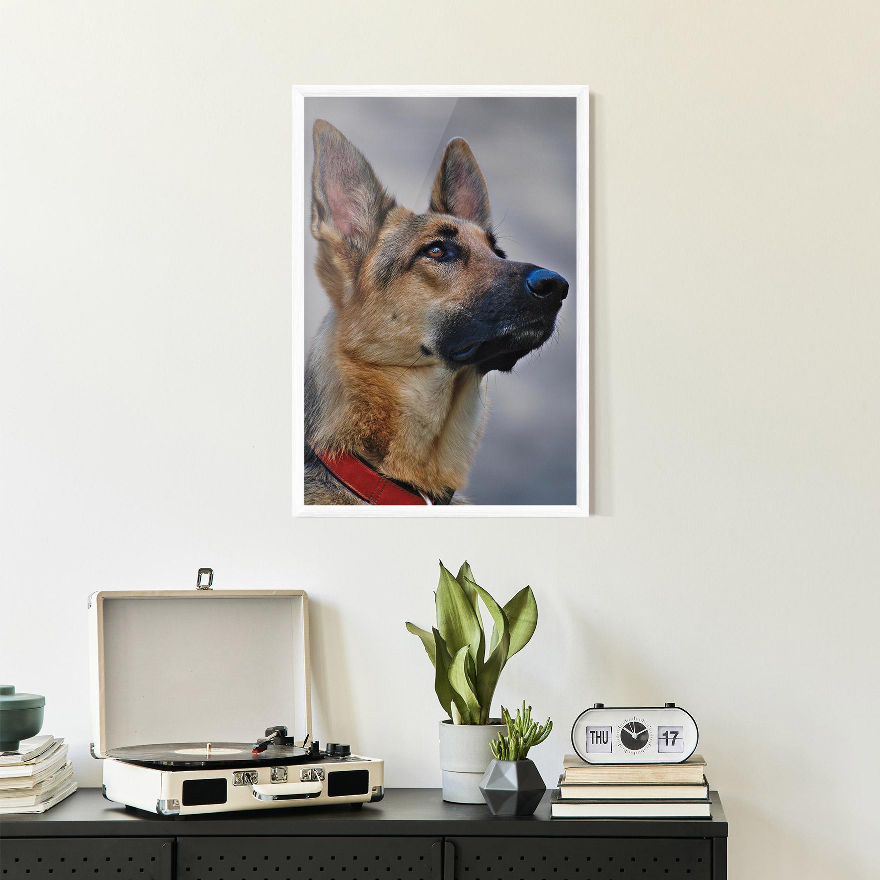 Keretezett Poszter German Shepherd mockup 2