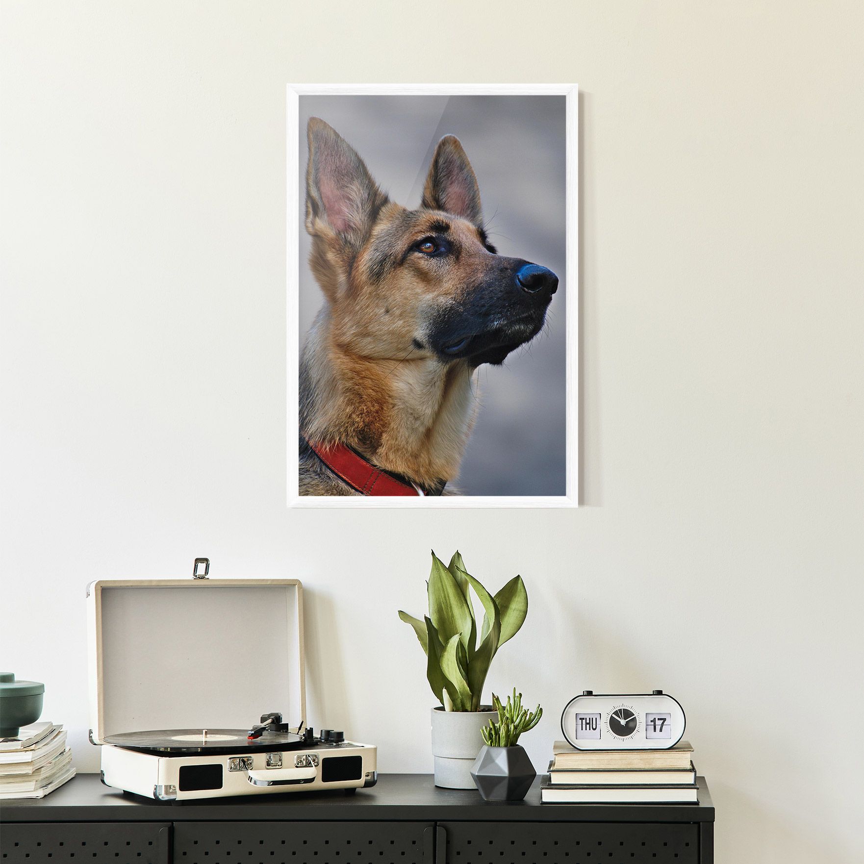 German Shepherd mockup 2
