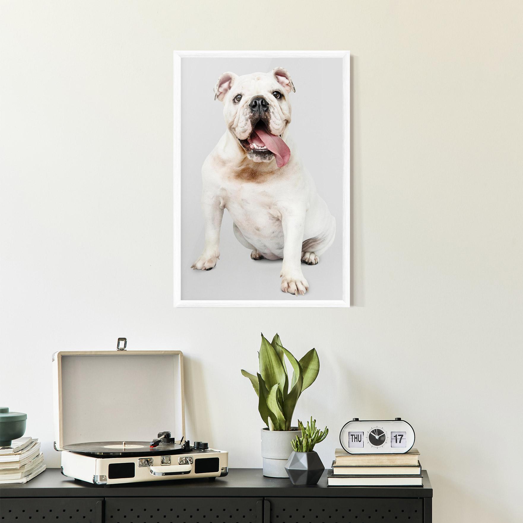Keretezett Poszter Happy White Dog mockup 2