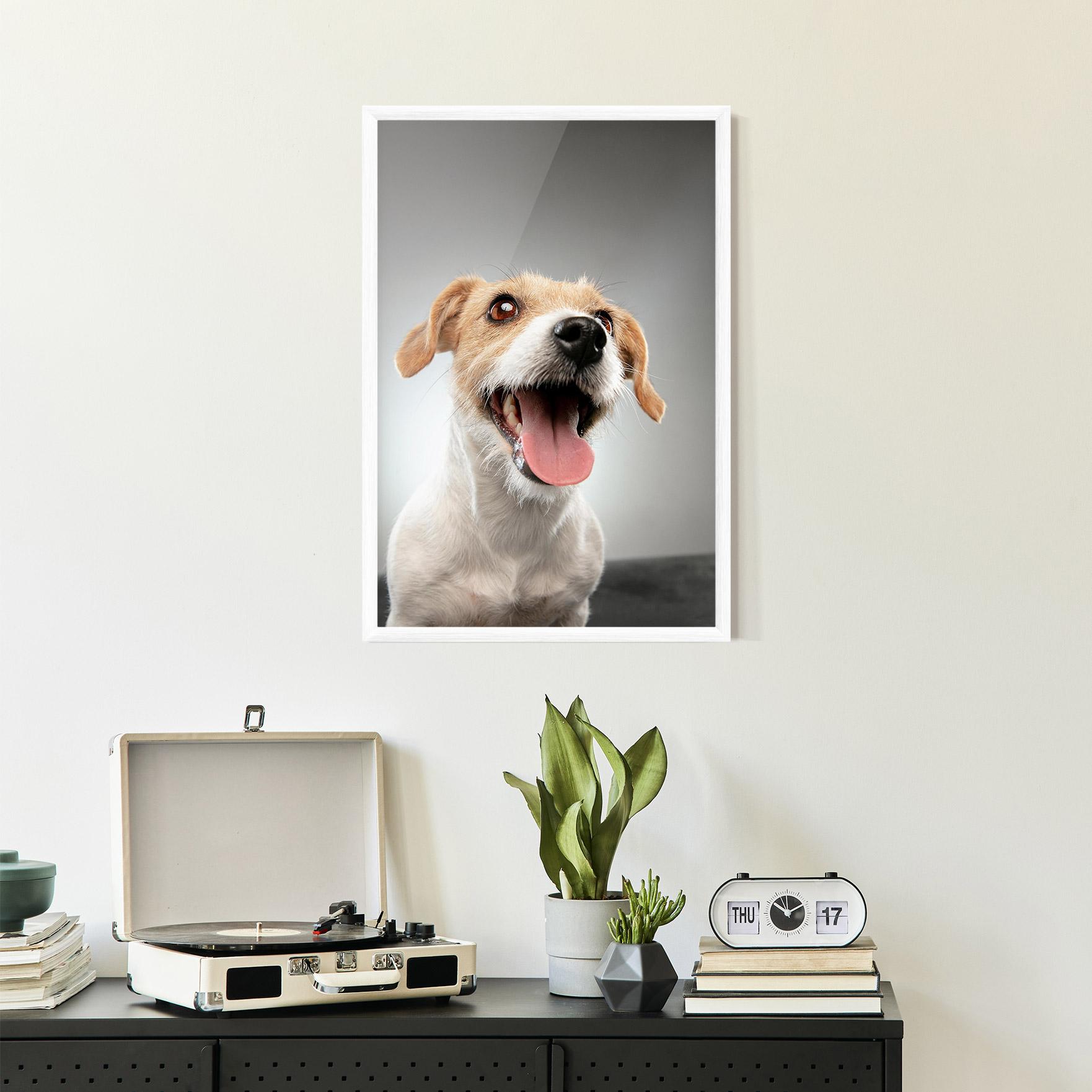 Keretezett Poszter Jack Russell Terrier mockup 2