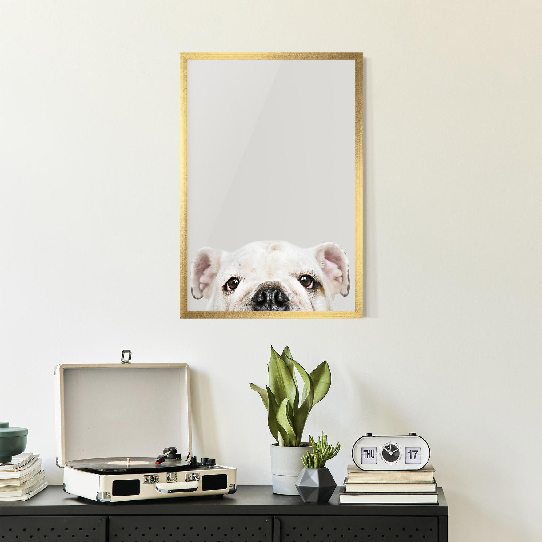 Keretezett Poszter Bulldog Eyes mockup 2