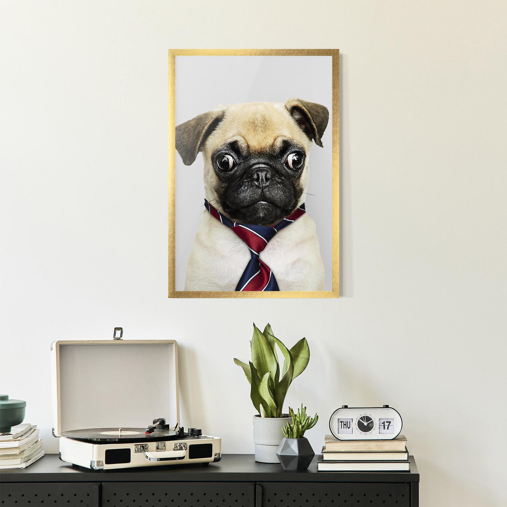 Keretezett Poszter Business Pug mockup 2