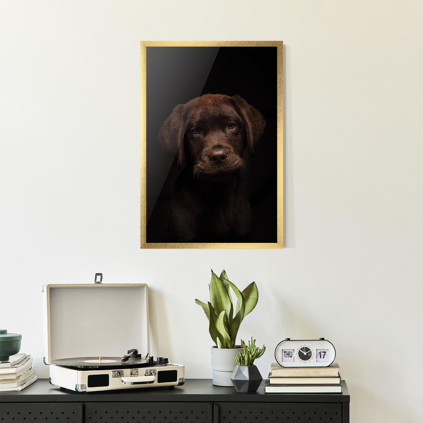 Keretezett Poszter Chocolate Labrador mockup 2