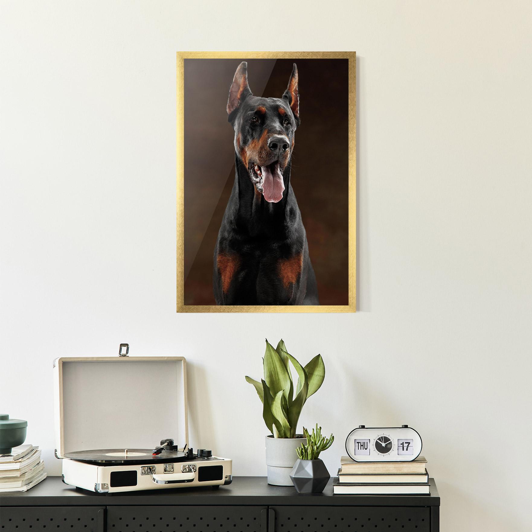 Keretezett Poszter Doberman Looking mockup 2