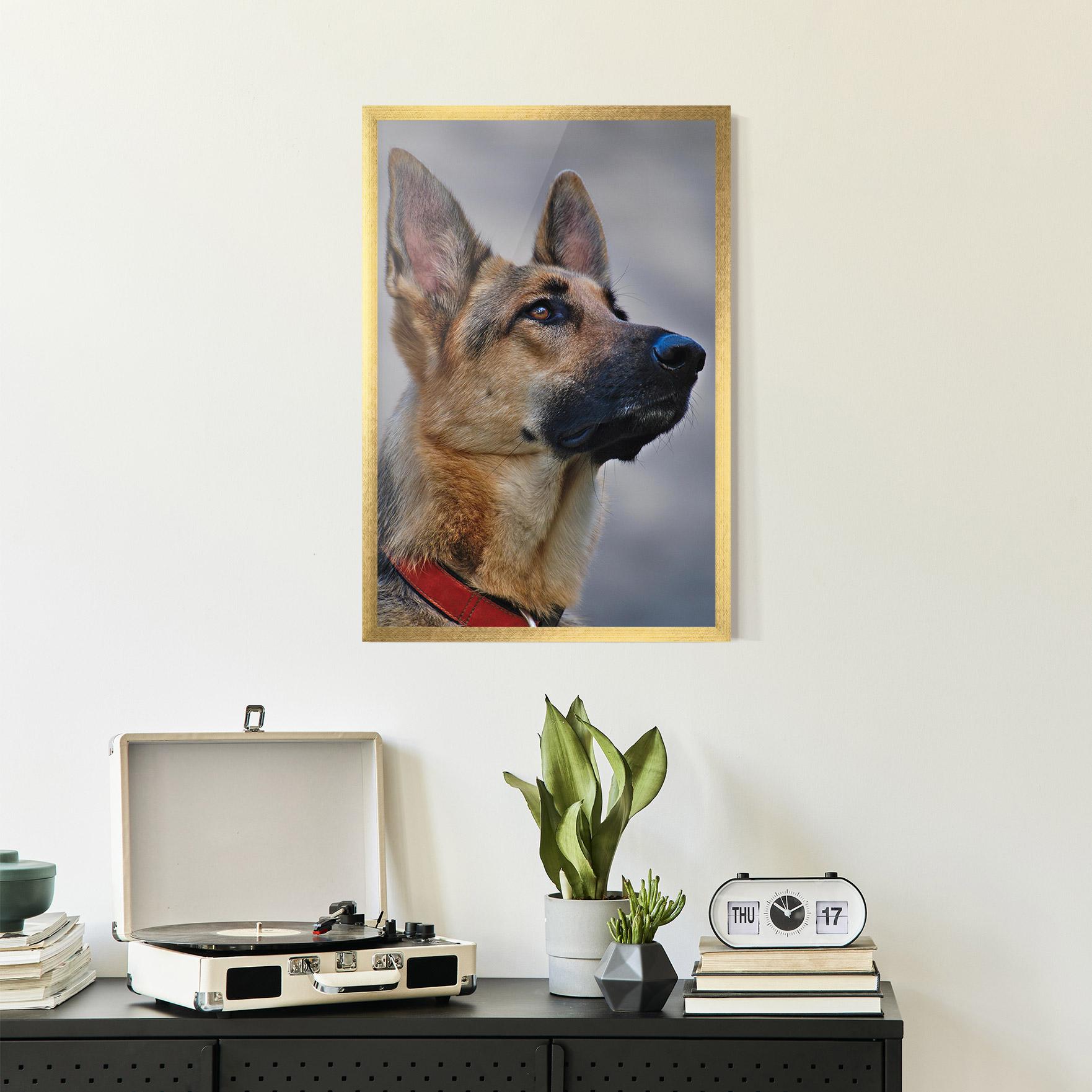 Keretezett Poszter German Shepherd mockup 2