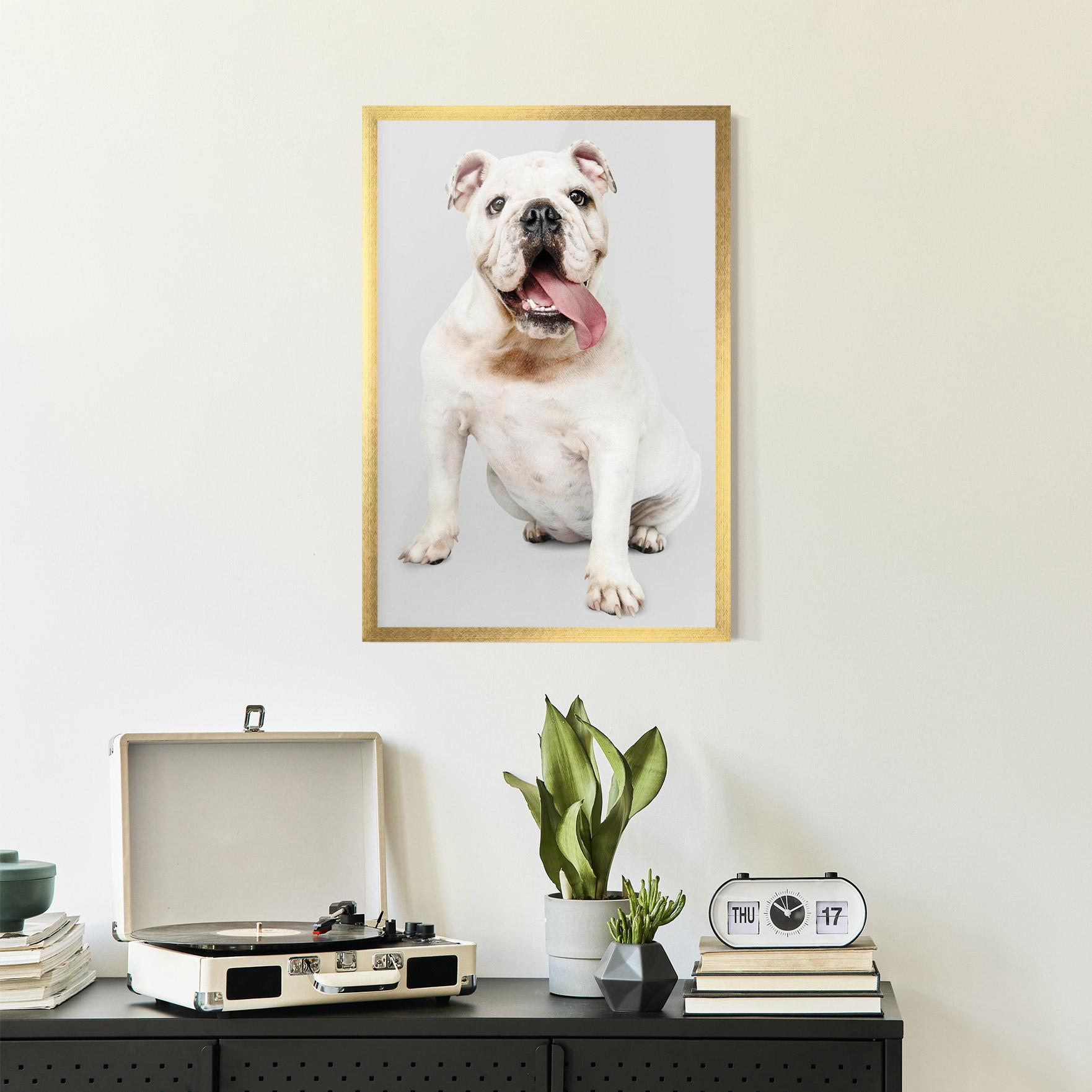 Keretezett Poszter Happy White Dog mockup 2