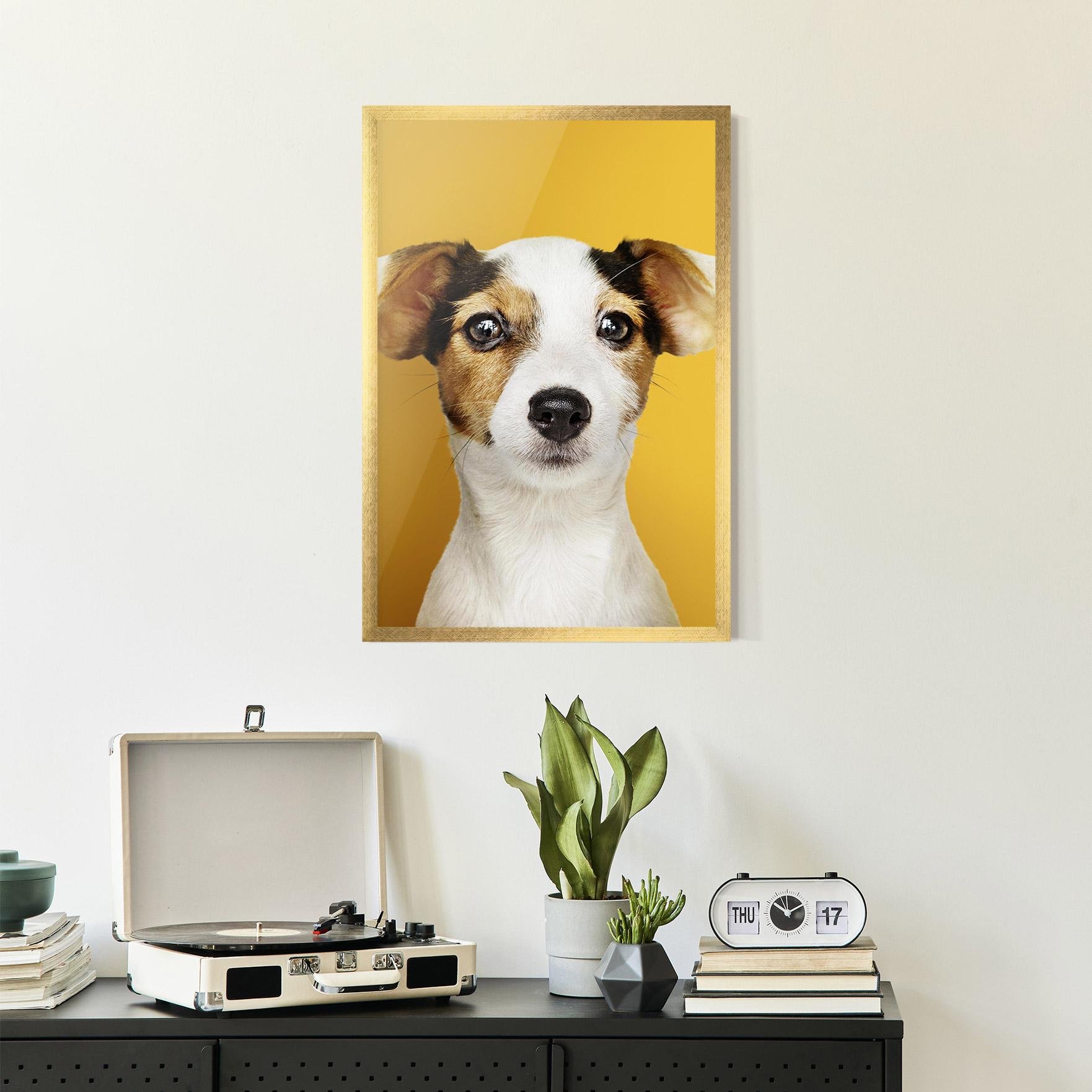 Keretezett Poszter Puppy On Yellow mockup 2