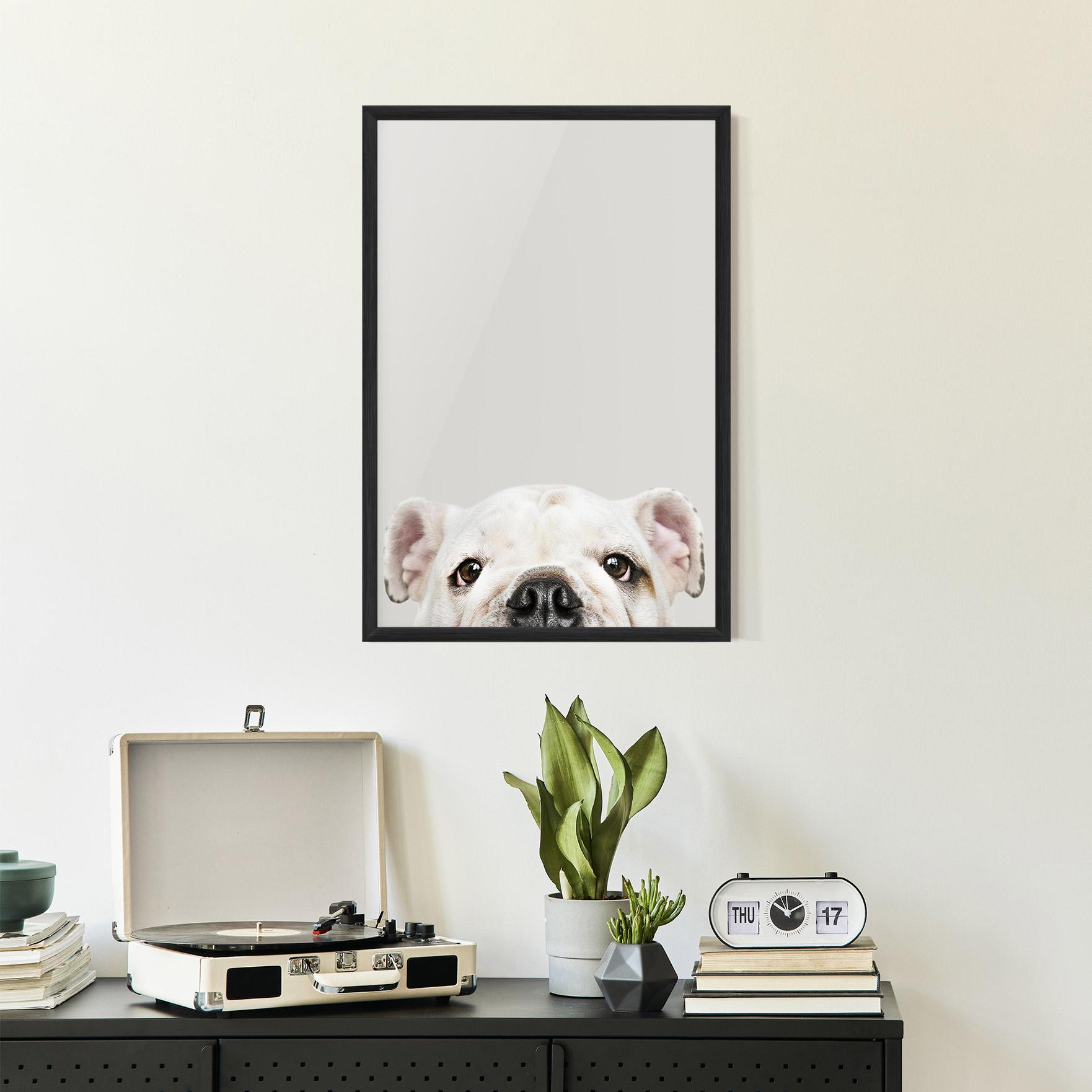 Keretezett Poszter Bulldog Eyes mockup 2