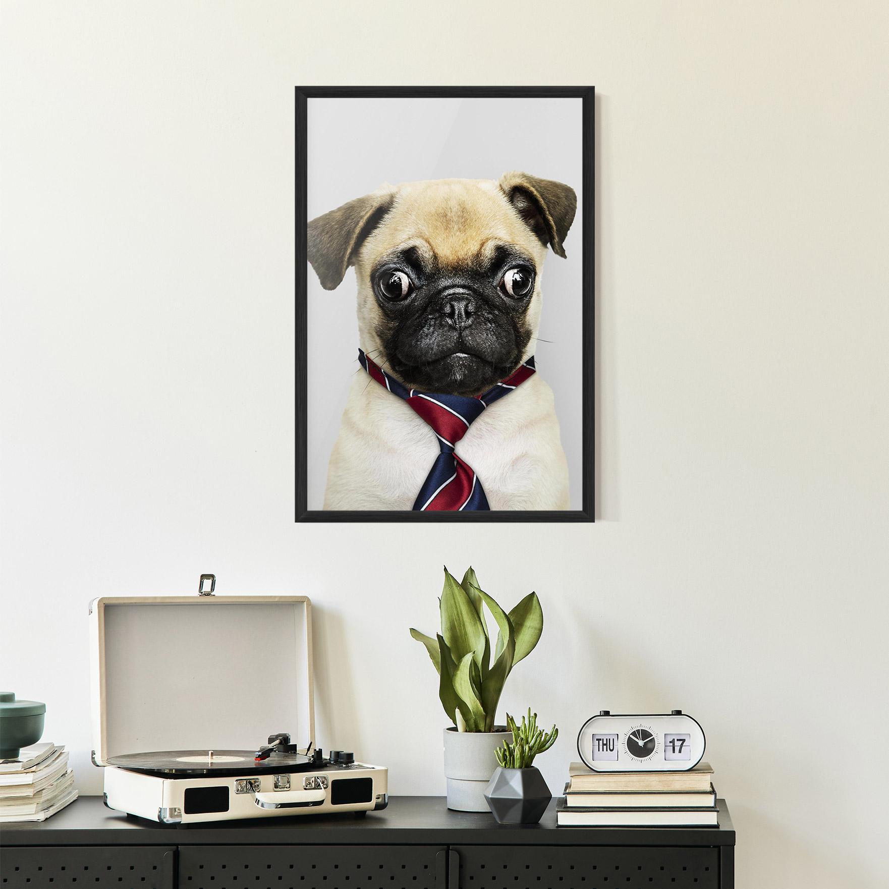 Keretezett Poszter Business Pug mockup 2