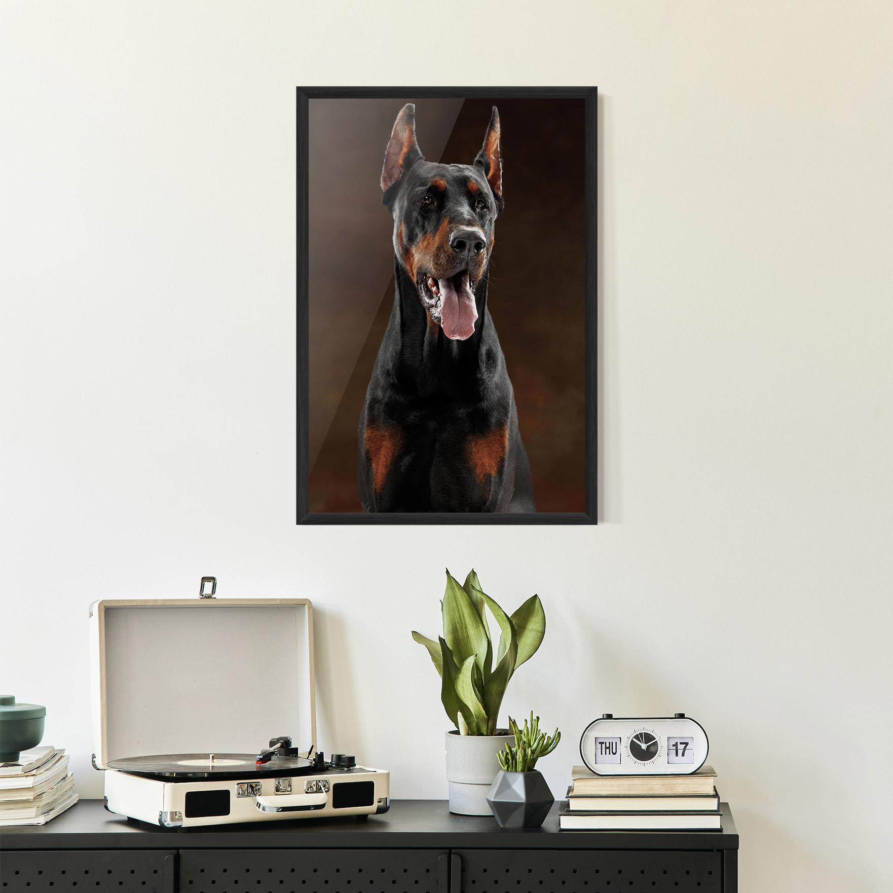 Keretezett Poszter Doberman Looking mockup 2
