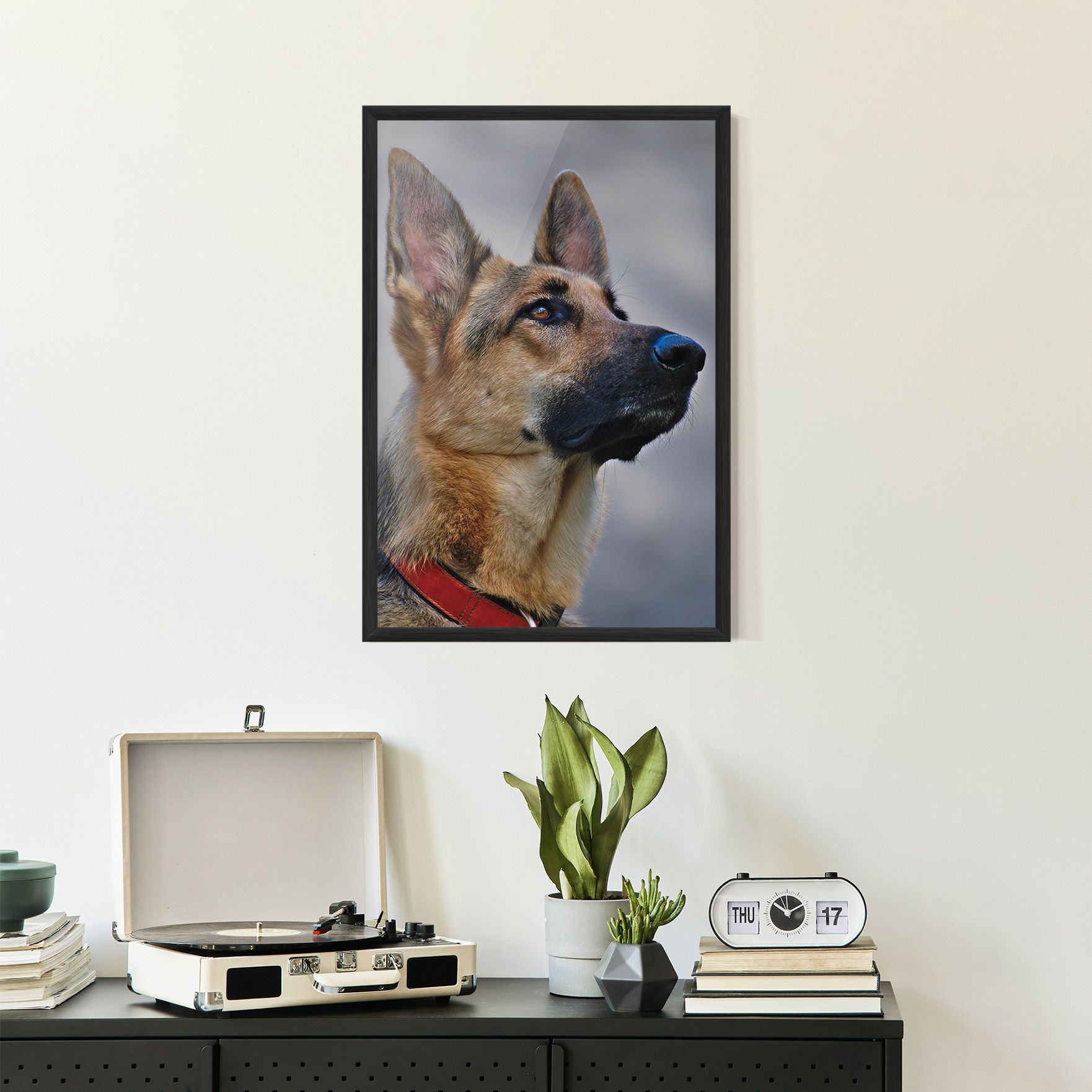 German Shepherd mockup 2