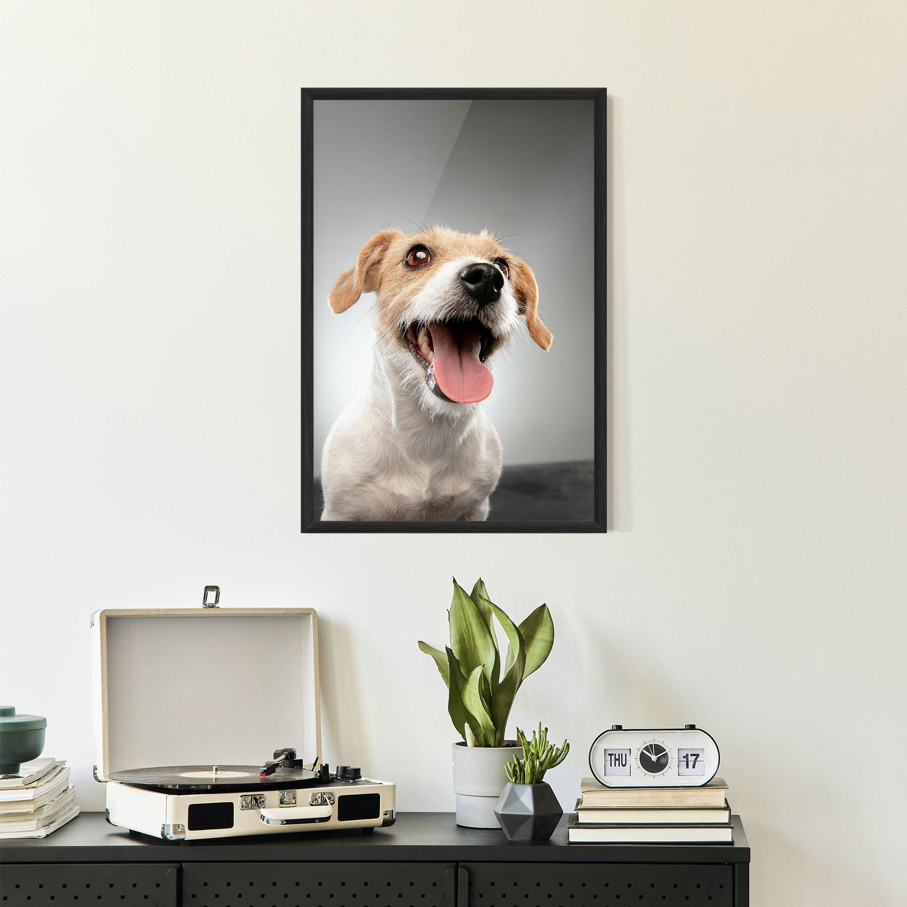 Keretezett Poszter Jack Russell Terrier mockup 2