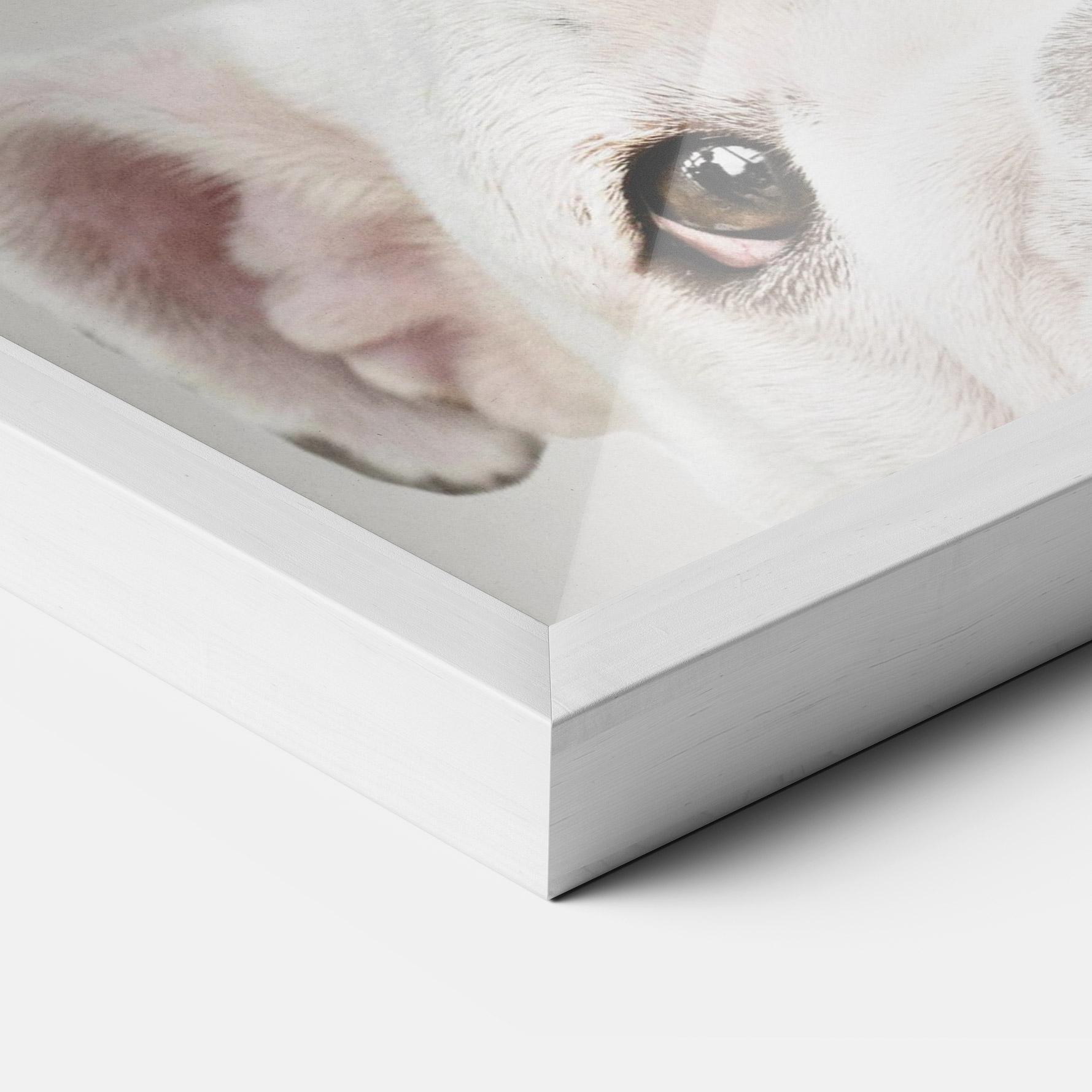 Keretezett Poszter Bulldog Eyes mockup 3