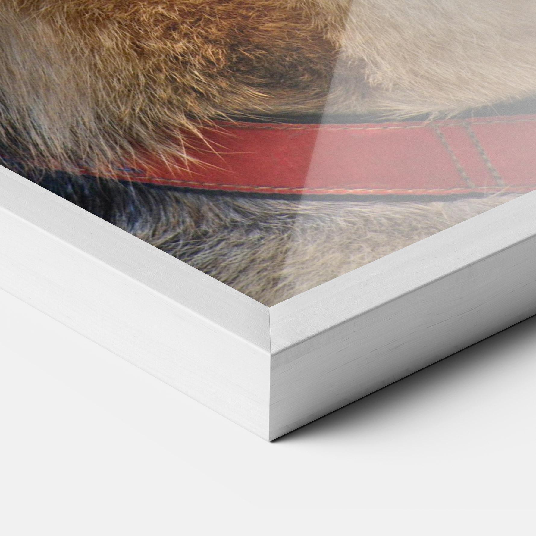 Keretezett Poszter German Shepherd mockup 3