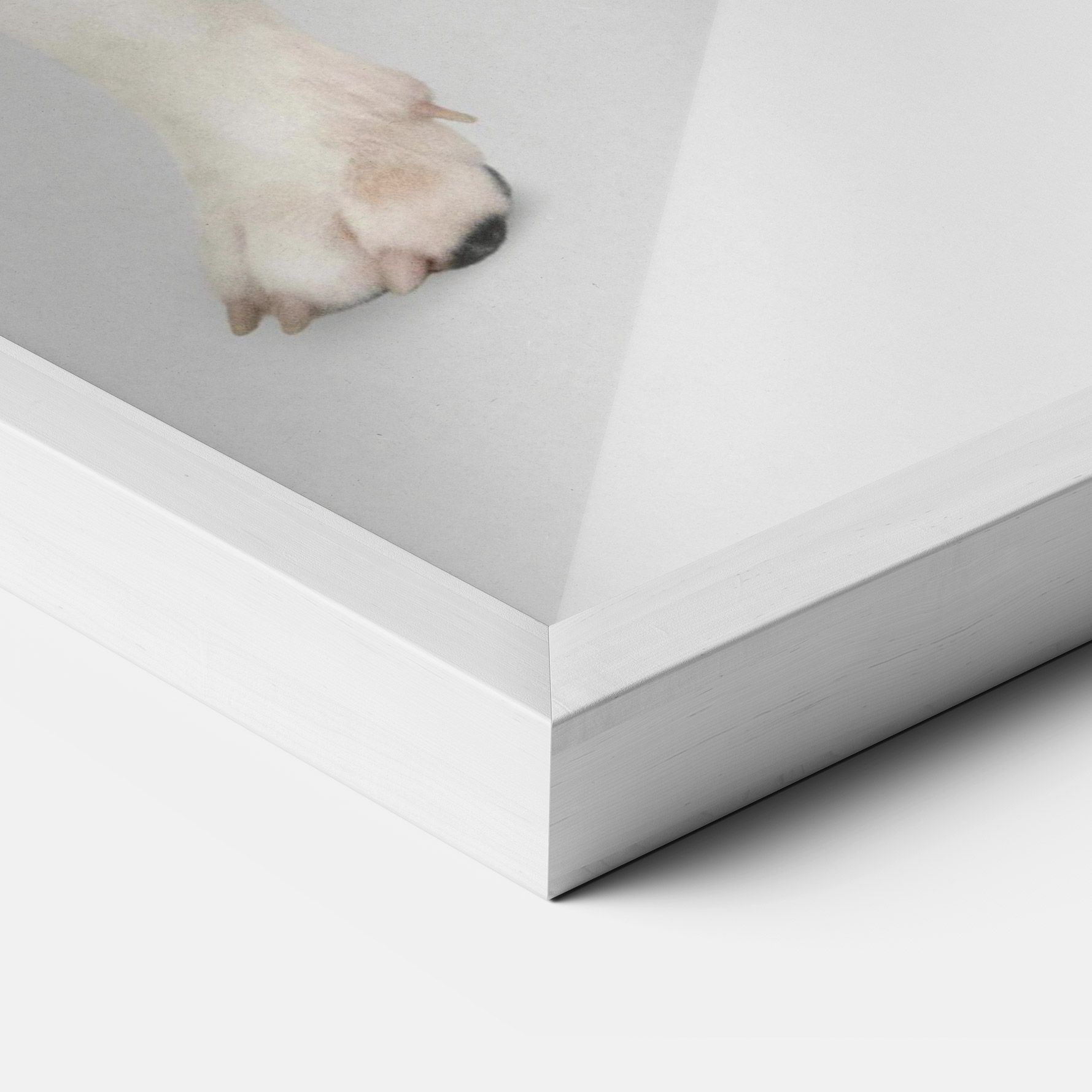 Happy White Dog mockup 3