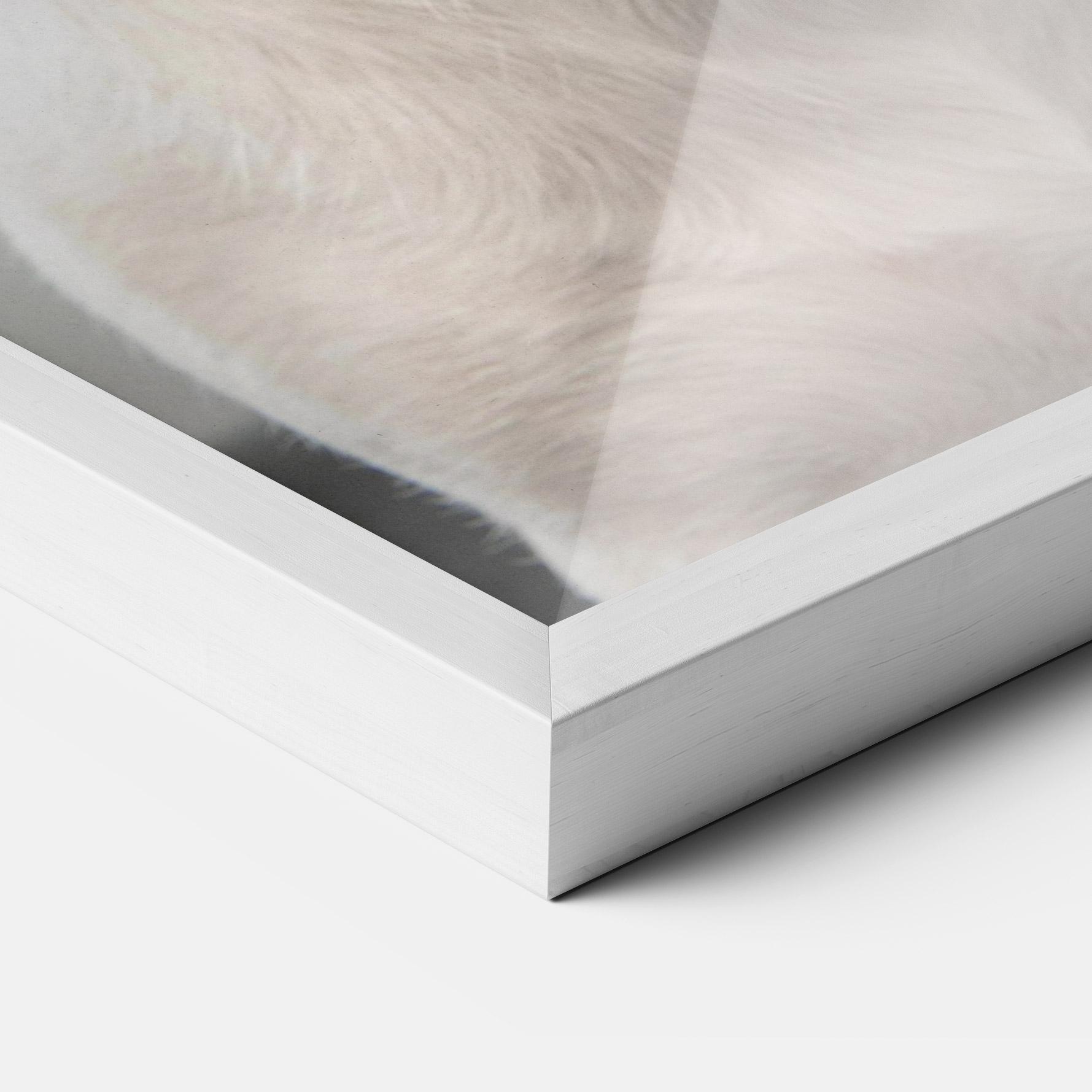 Keretezett Poszter Jack Russell Terrier mockup 3