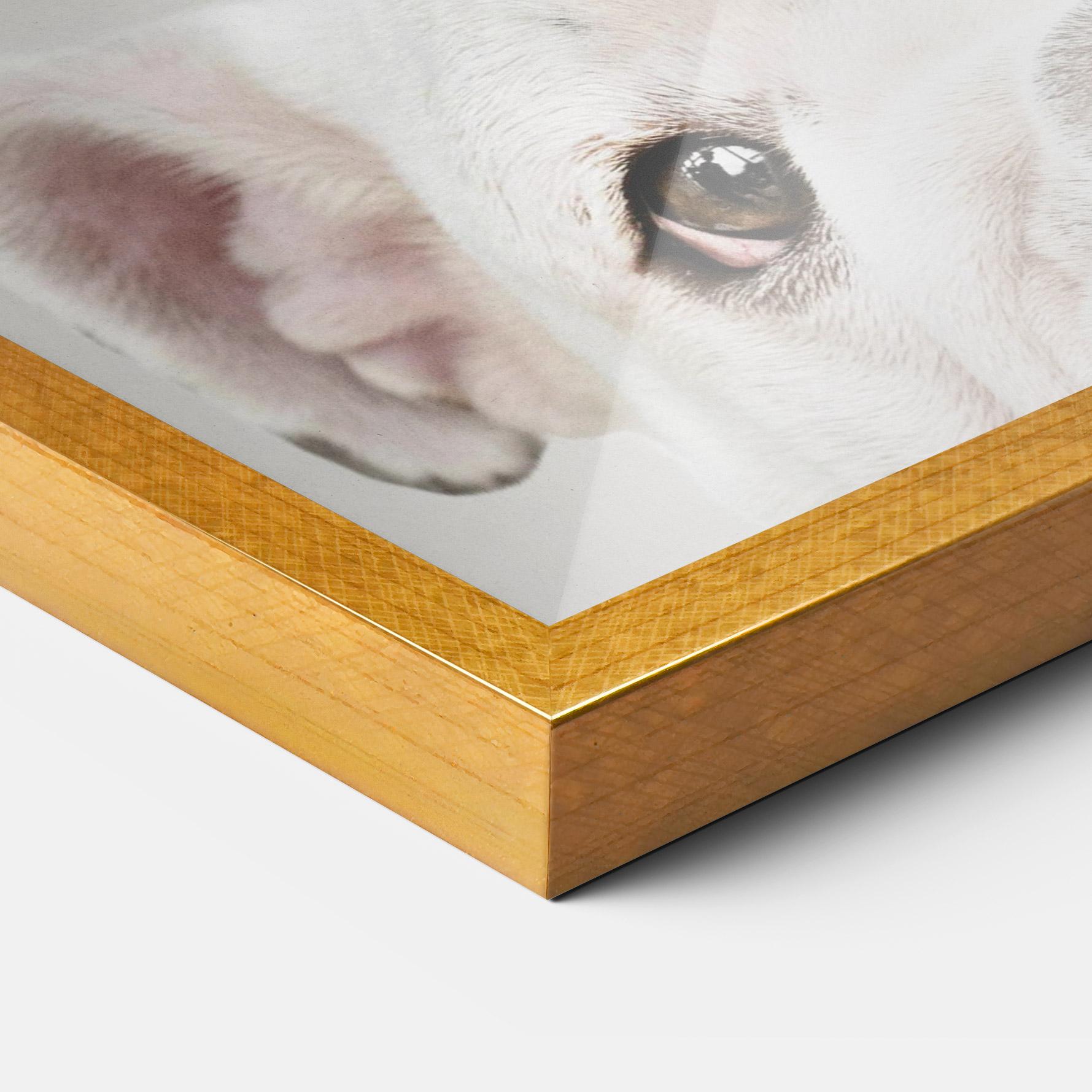 Keretezett Poszter Bulldog Eyes mockup 3