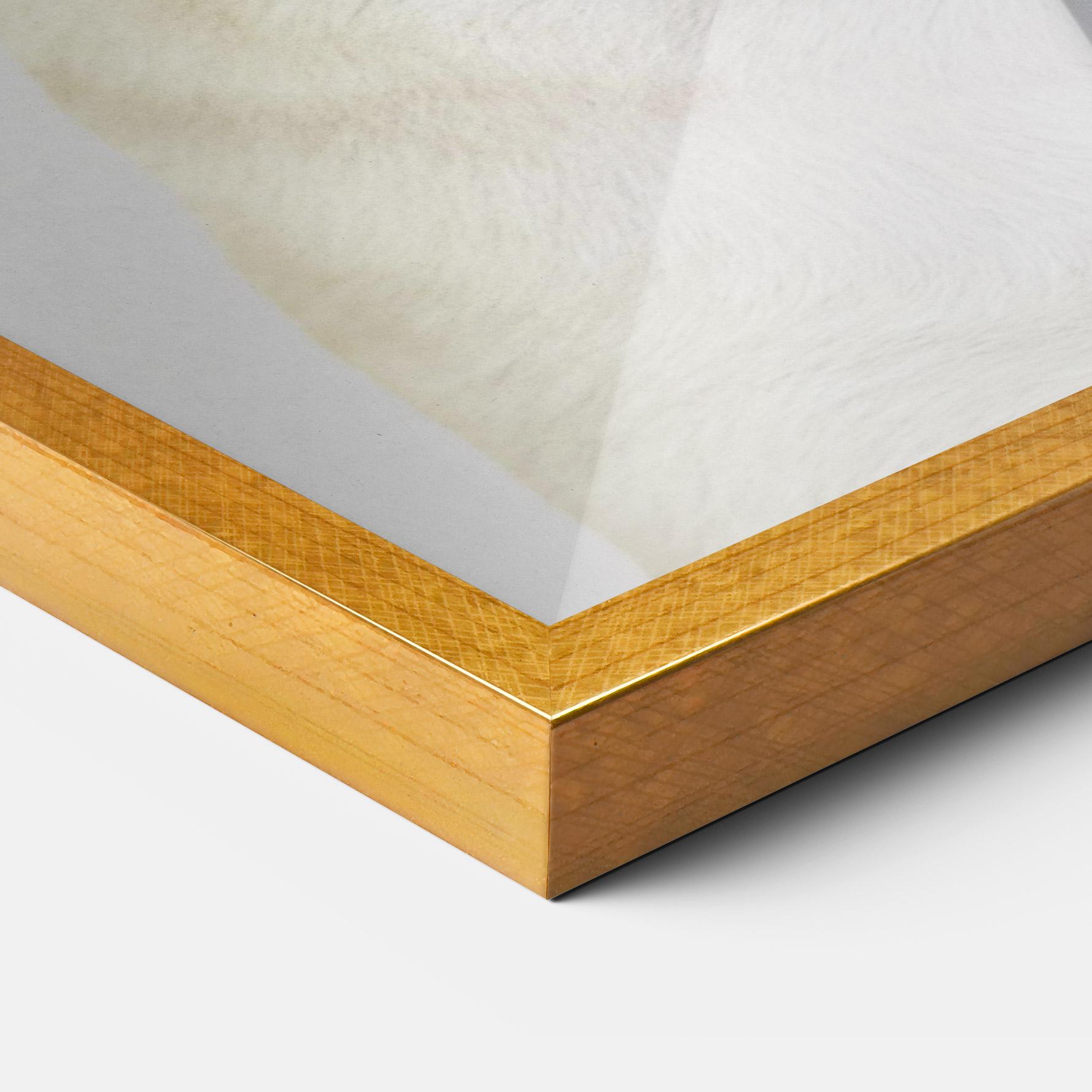 Keretezett Poszter Business Pug mockup 3