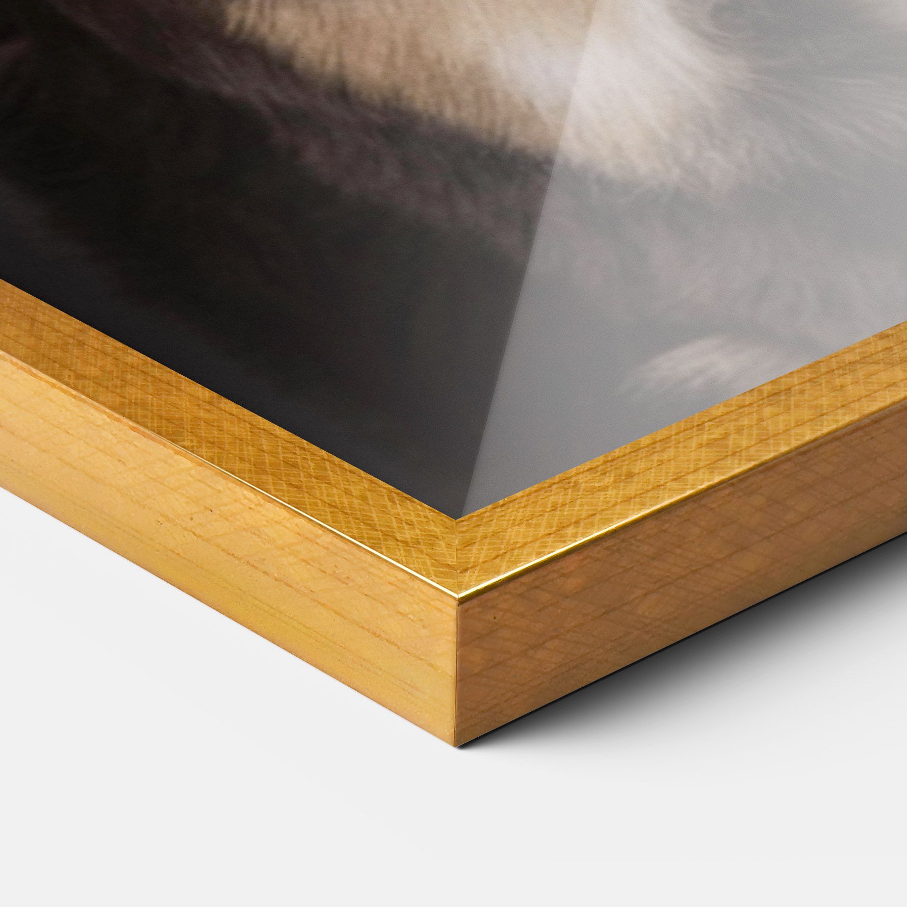 Cute Dog Sitting mockup 3