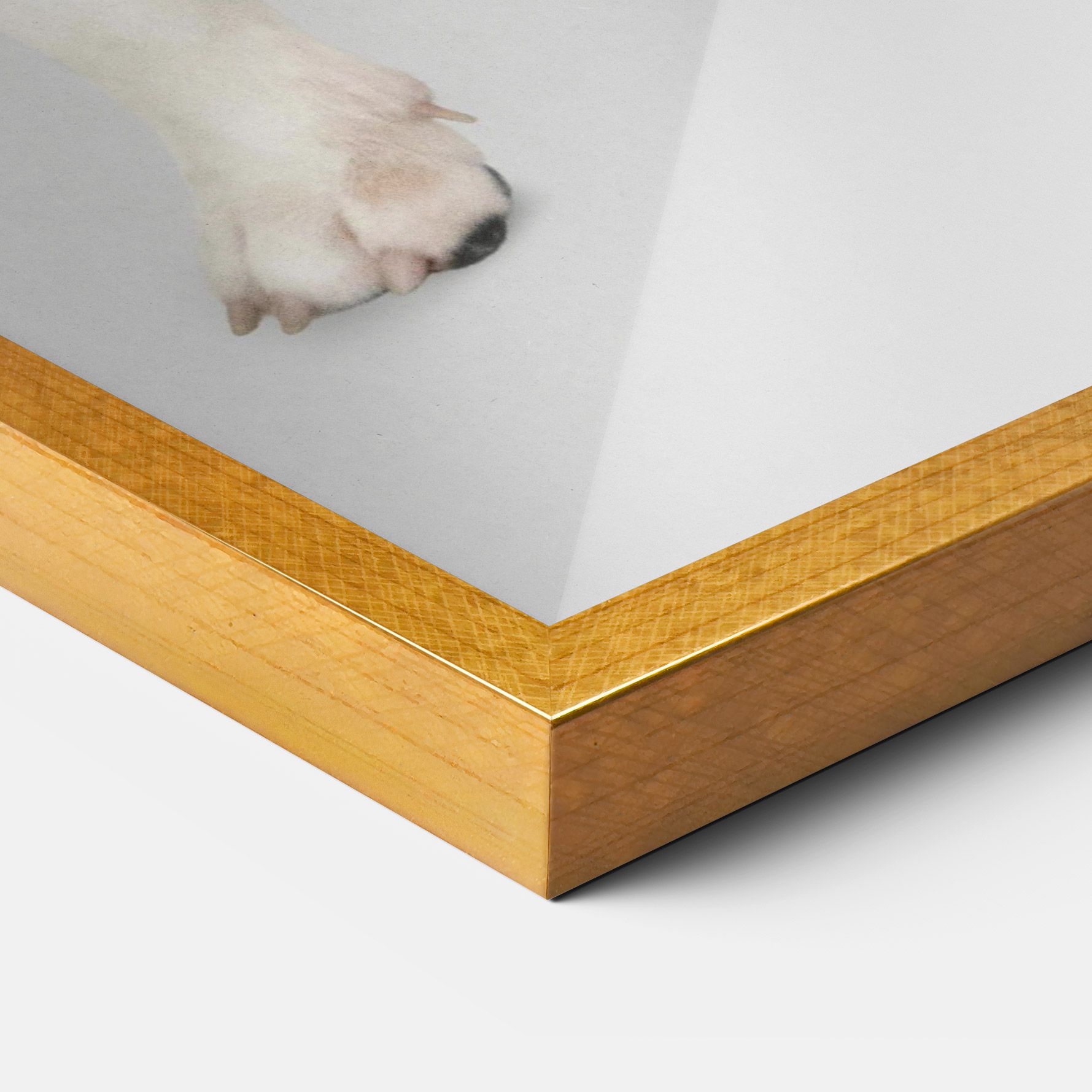 Happy White Dog mockup 3