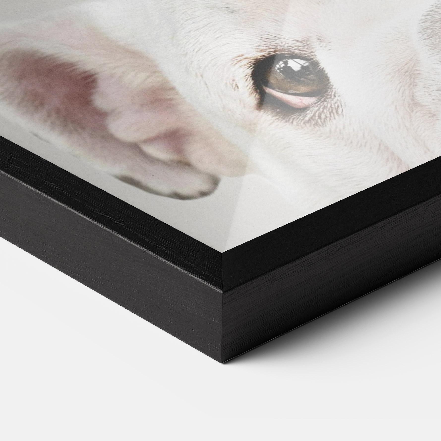 Keretezett Poszter Bulldog Eyes mockup 3
