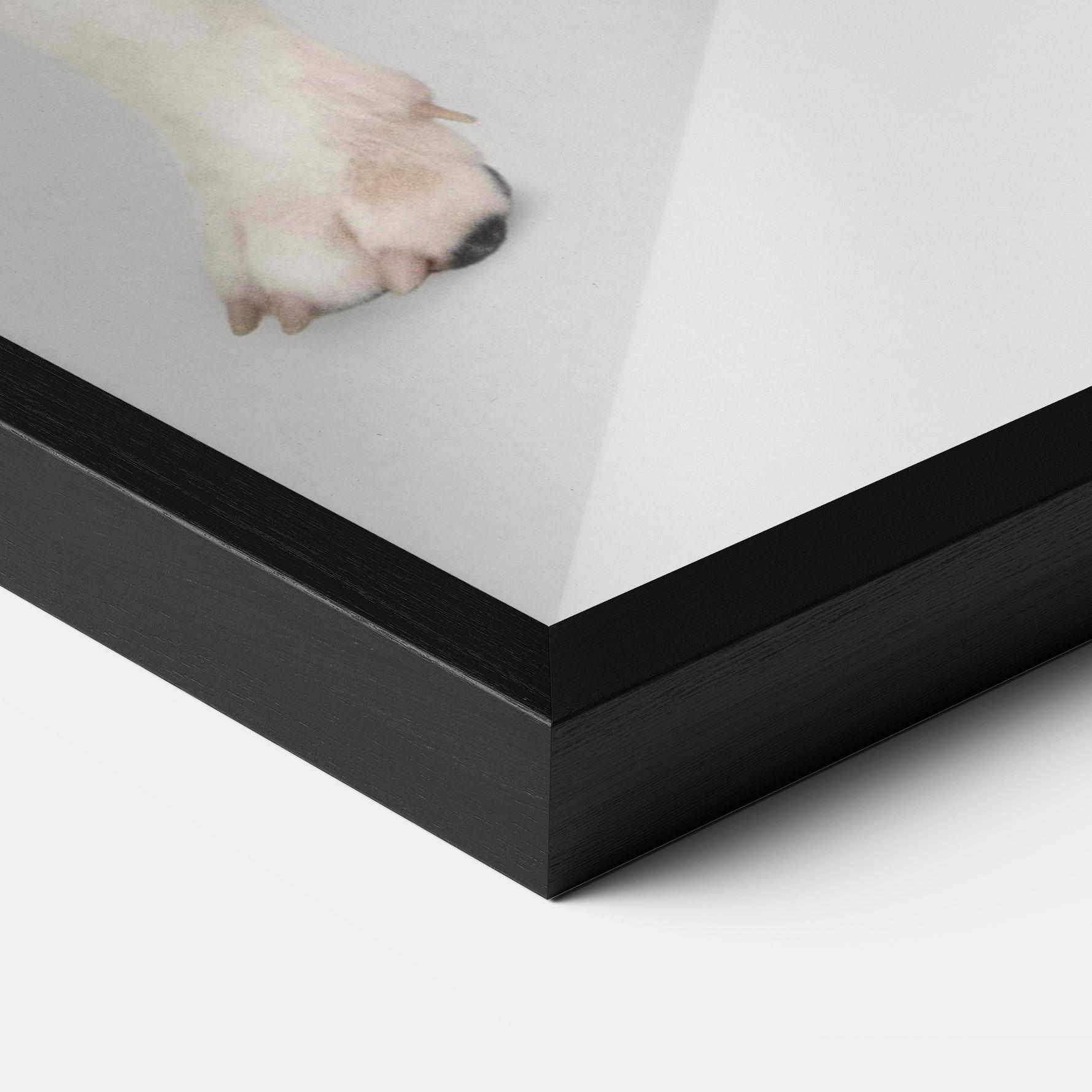 Keretezett Poszter Happy White Dog mockup 3
