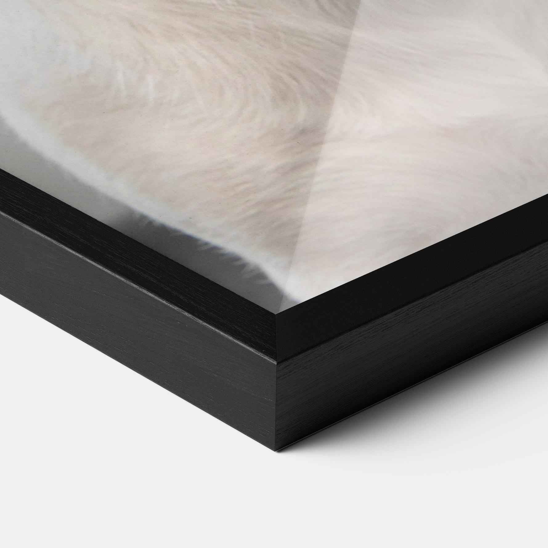 Keretezett Poszter Jack Russell Terrier mockup 3