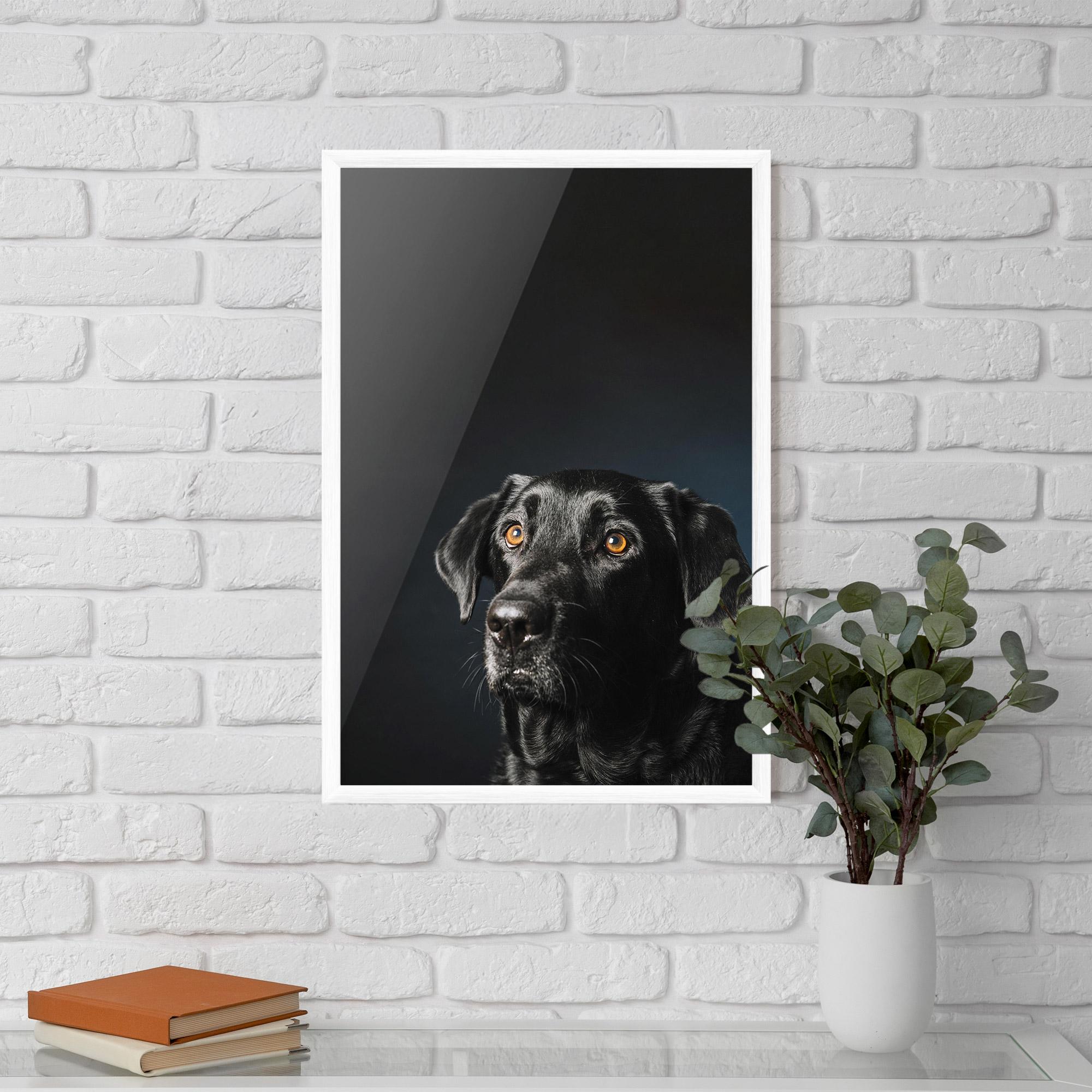 Keretezett Poszter Brown Eyes Dog mockup 5