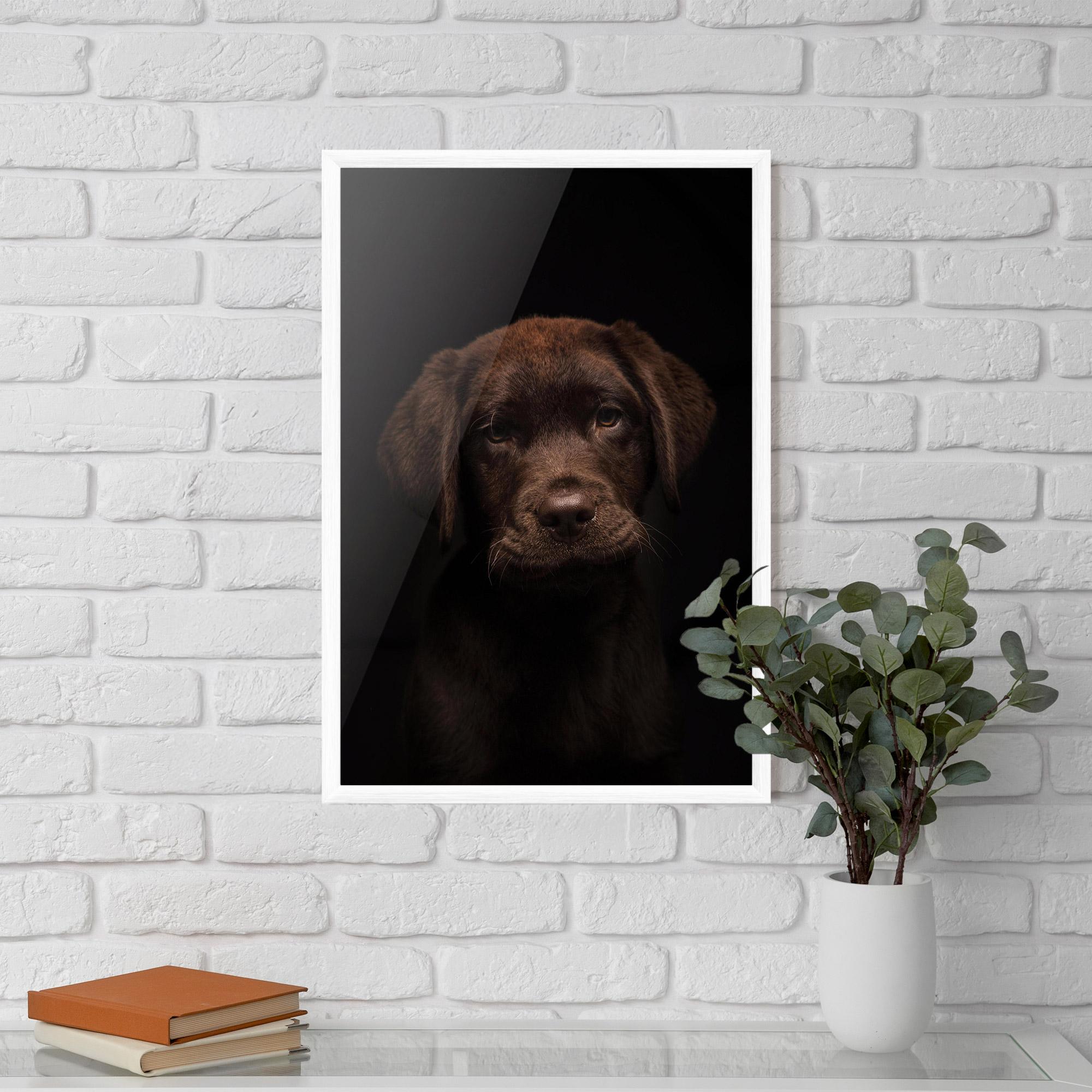 Keretezett Poszter Chocolate Labrador mockup 5