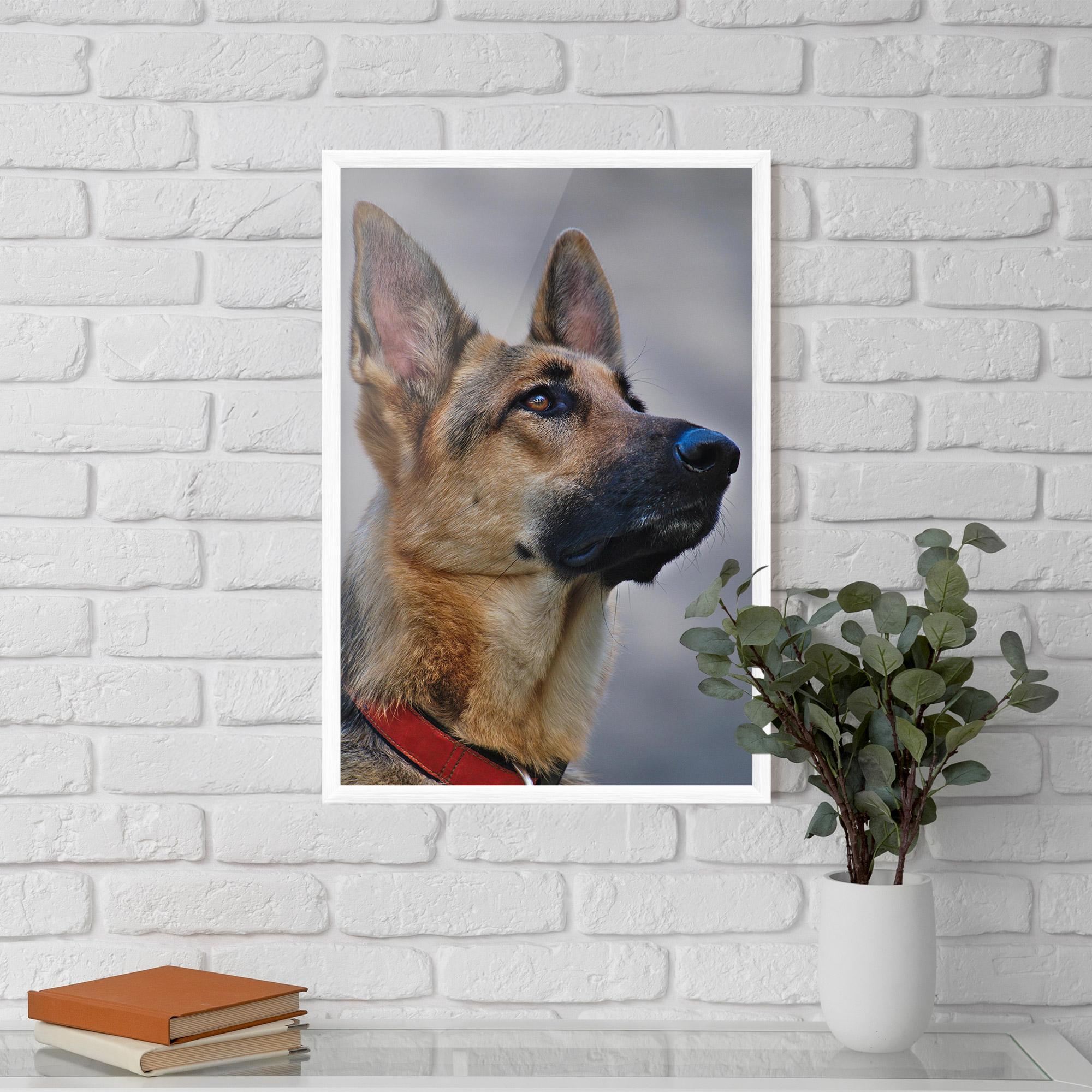Keretezett Poszter German Shepherd mockup 5