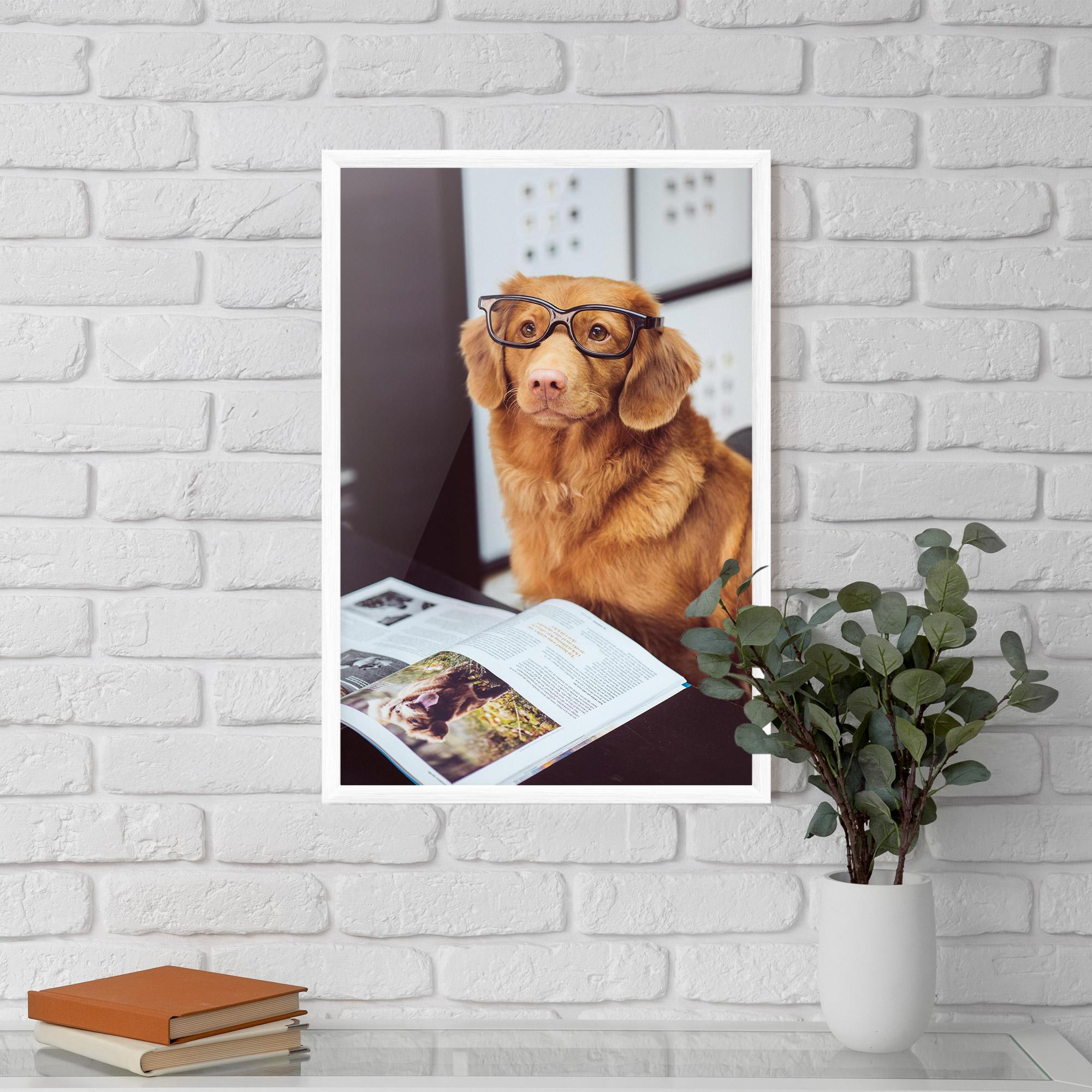 Keretezett Poszter Learning Dog mockup 5