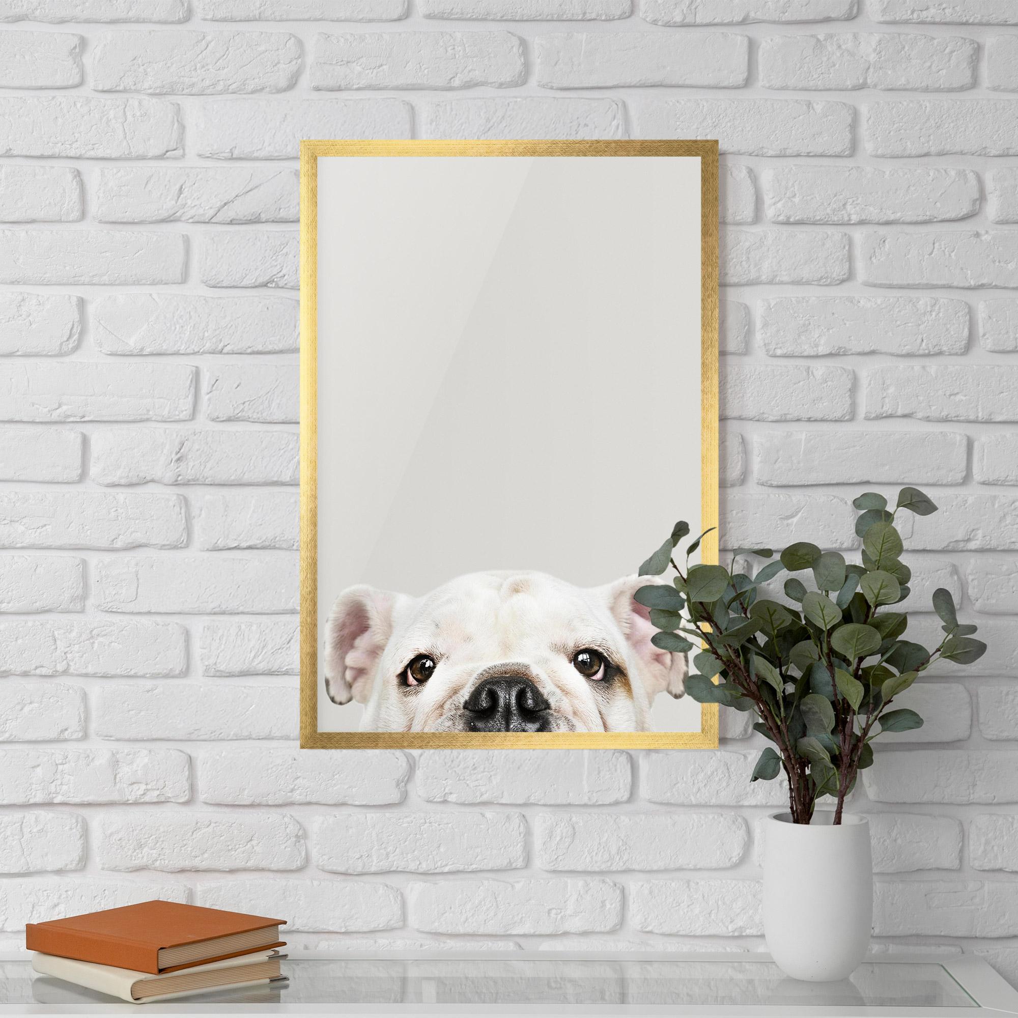 Keretezett Poszter Bulldog Eyes mockup 5