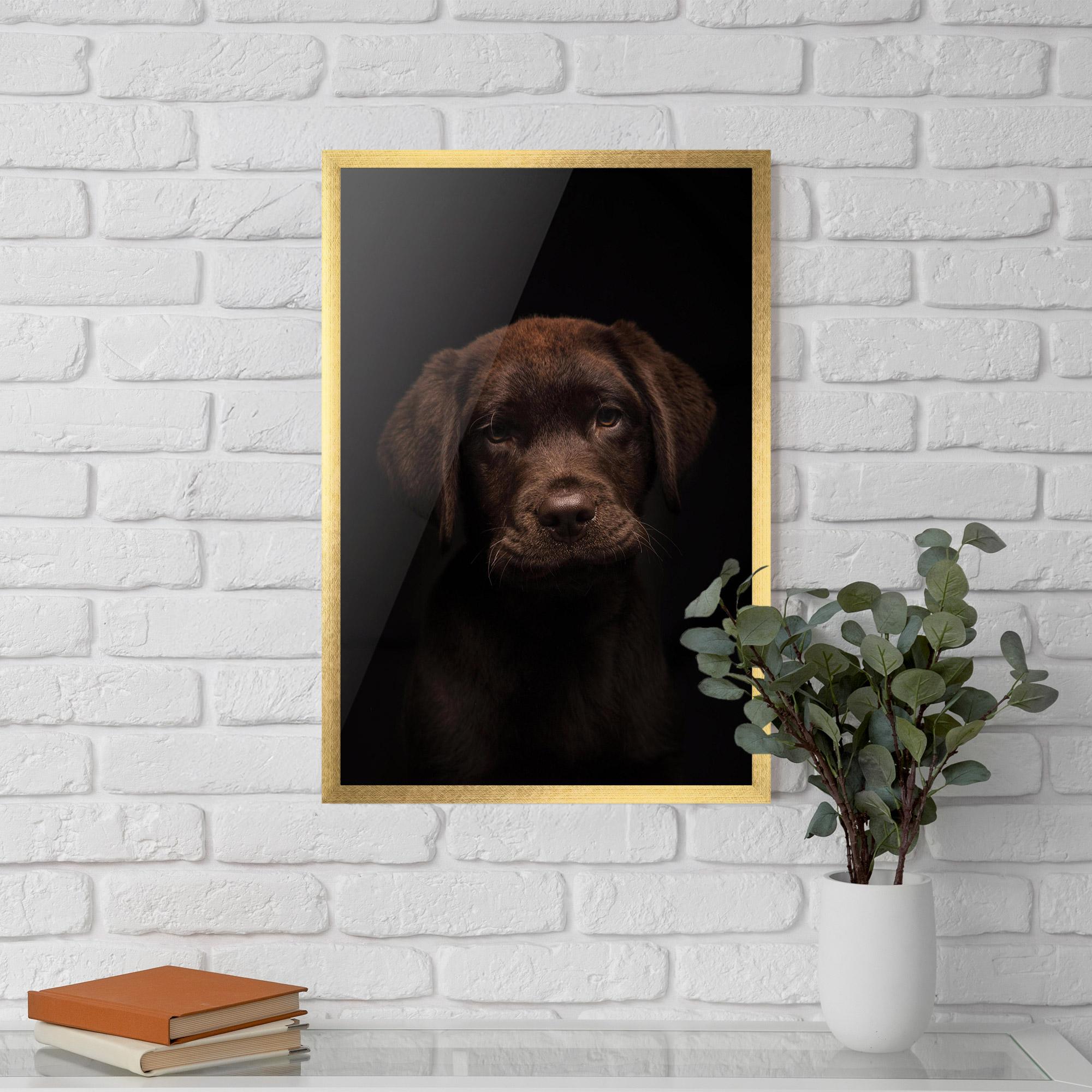 Keretezett Poszter Chocolate Labrador mockup 5
