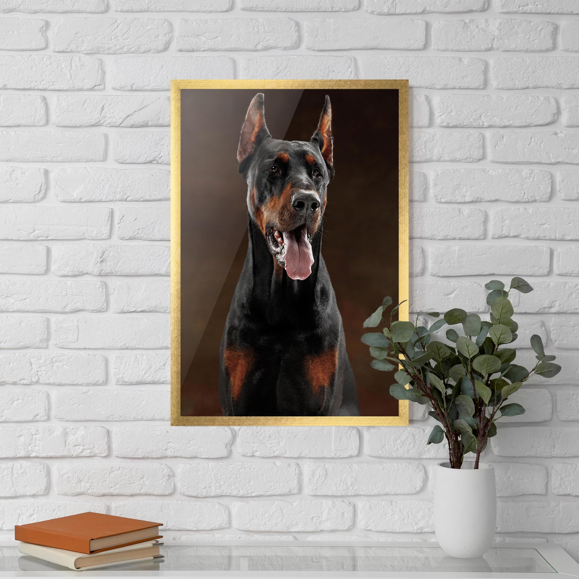 Keretezett Poszter Doberman Looking mockup 5