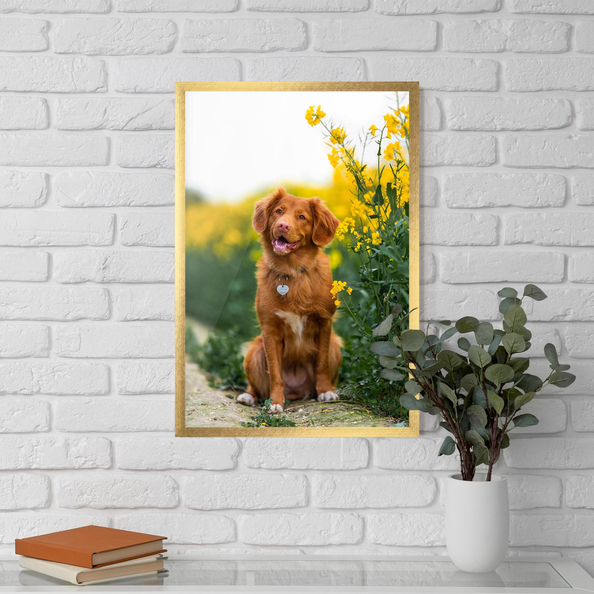 Keretezett Poszter Dog Yellow Flowers mockup 5
