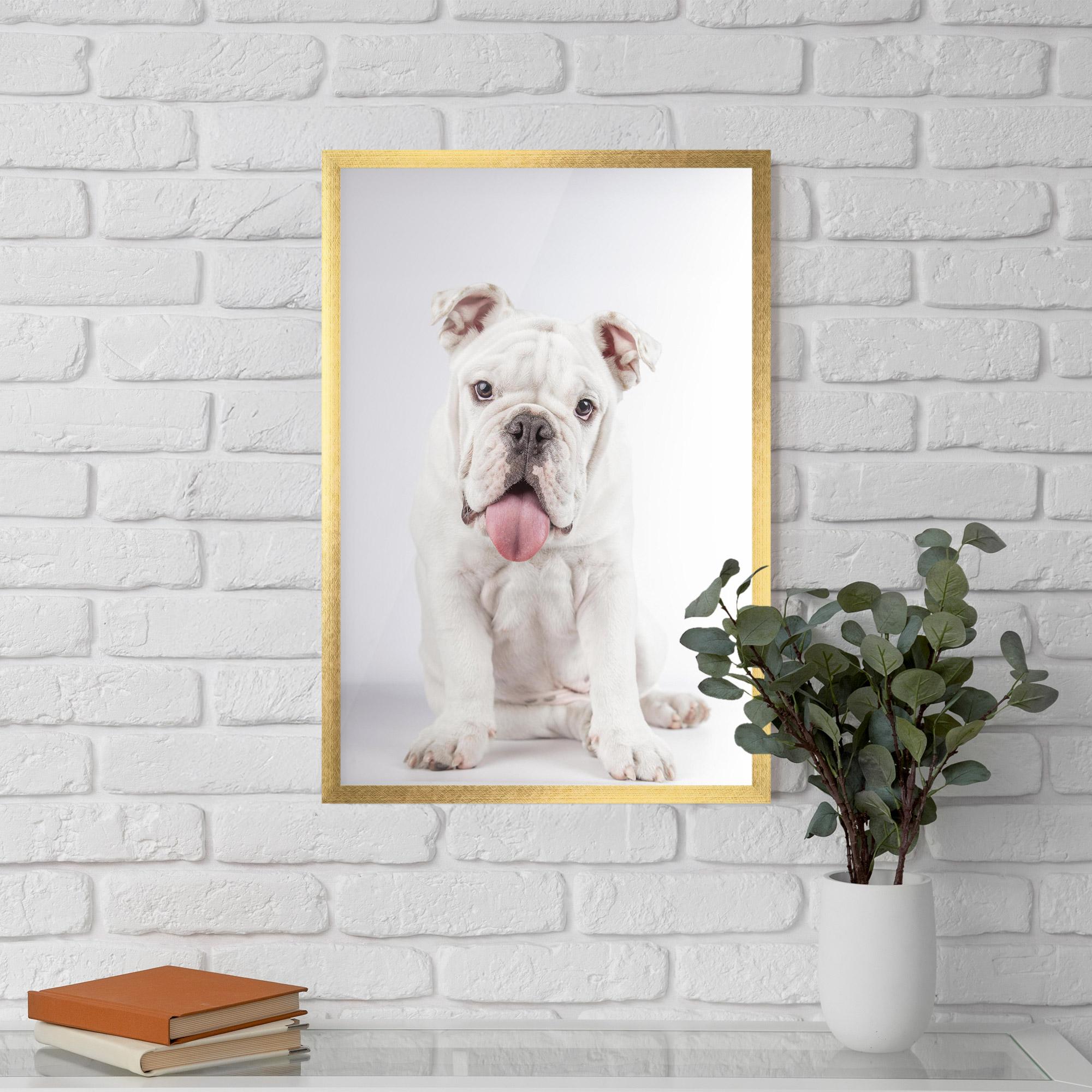 Keretezett Poszter English Bulldog mockup 5