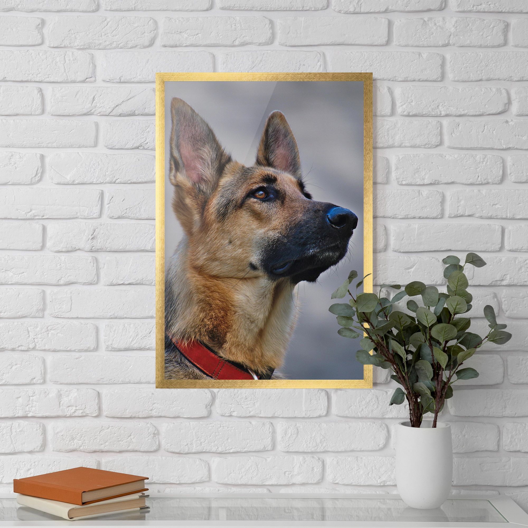 German Shepherd mockup 5